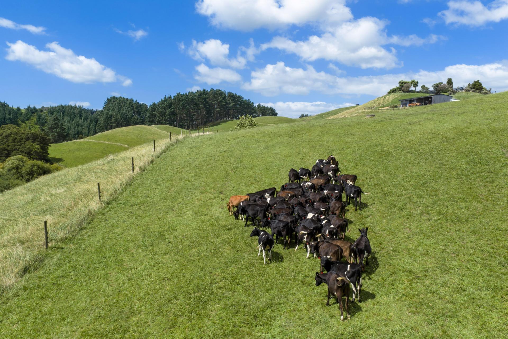 54 Kentucky Road, Karapiro