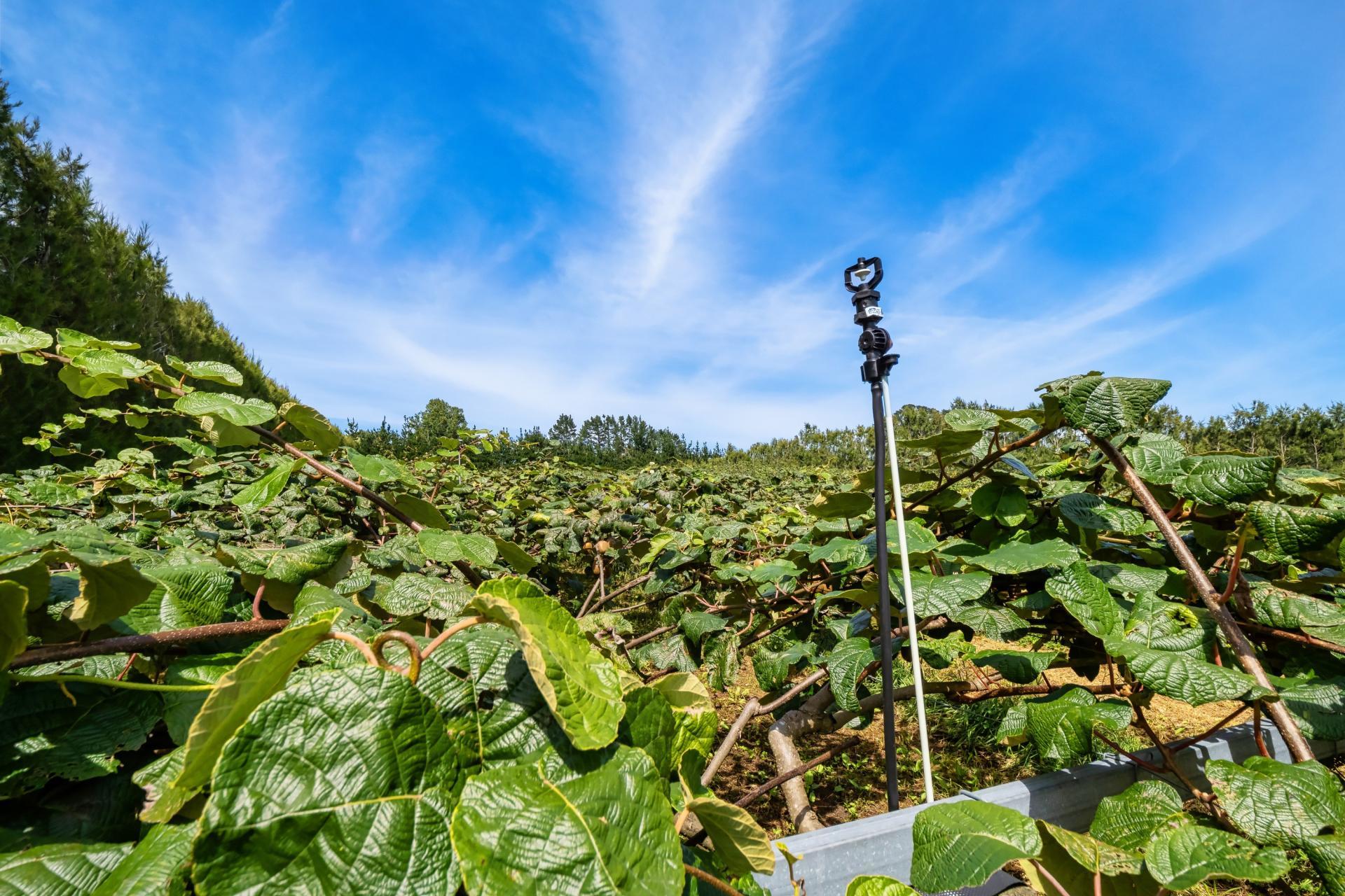 449 Crawford Road, Te Puna