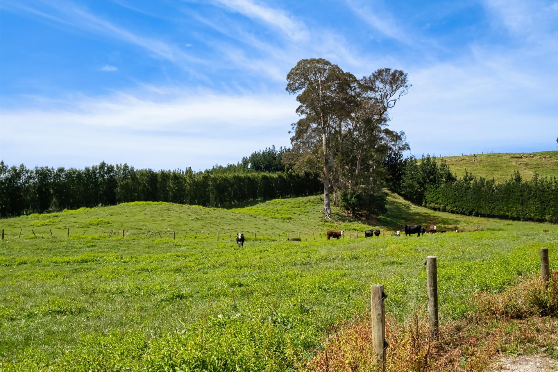 449 Crawford Road, Te Puna