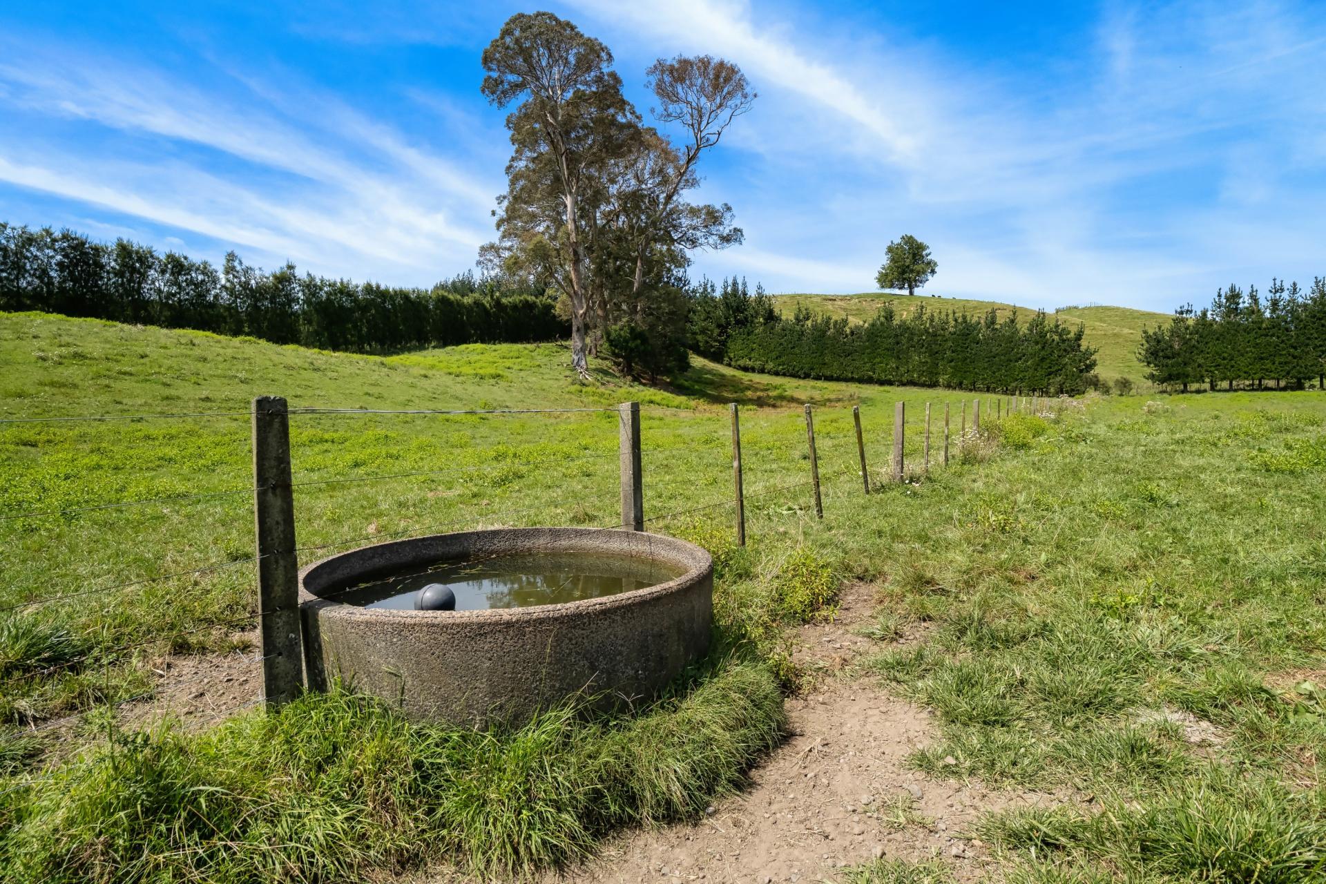 449 Crawford Road, Te Puna
