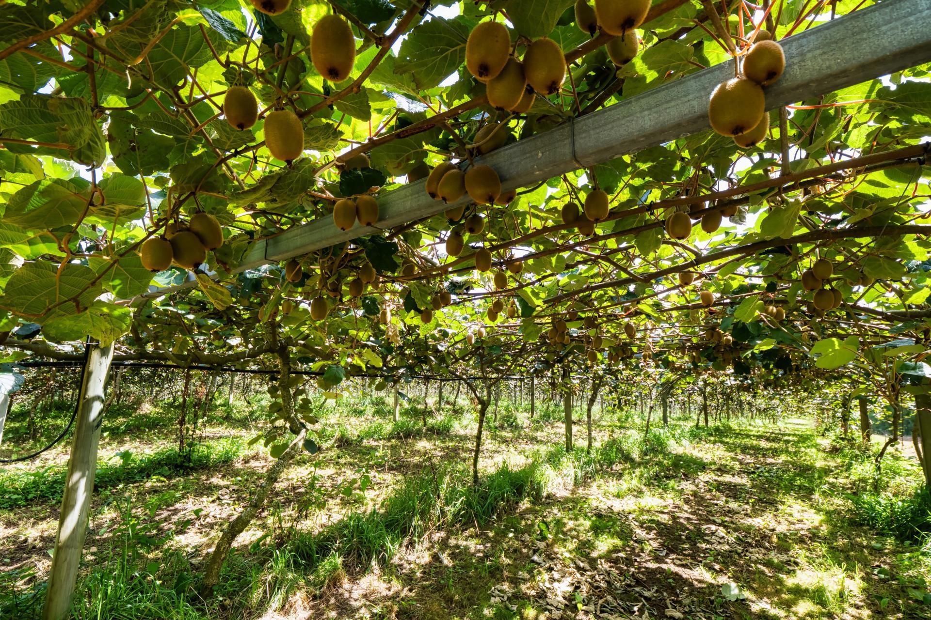 449 Crawford Road, Te Puna