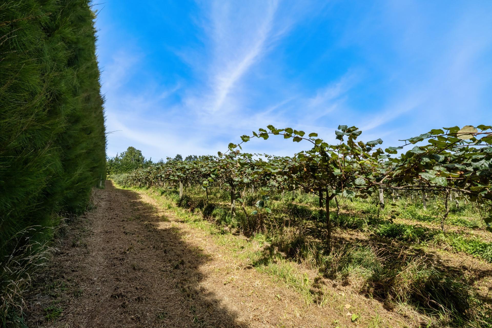 449 Crawford Road, Te Puna