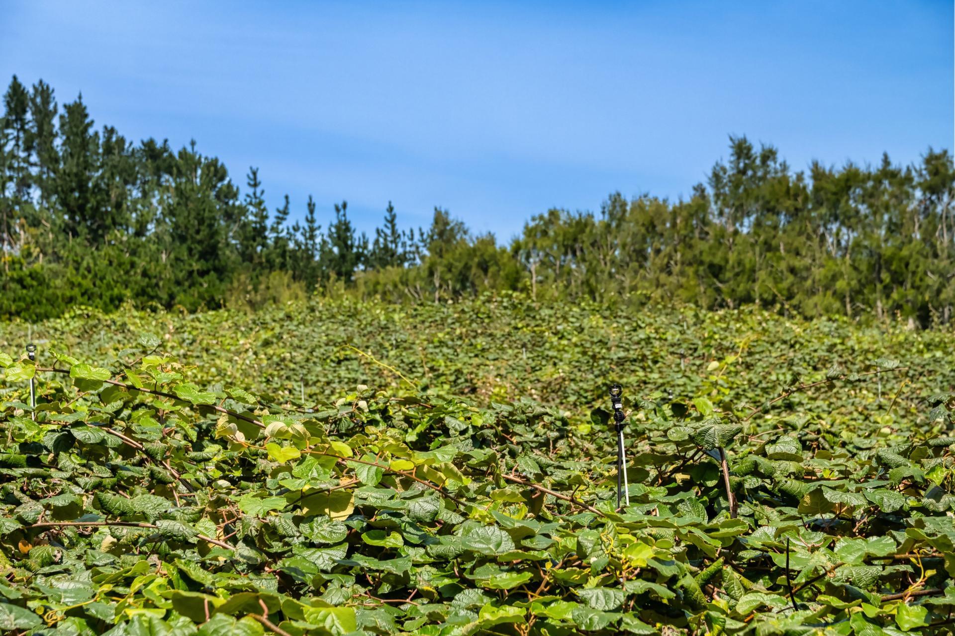 449 Crawford Road, Te Puna