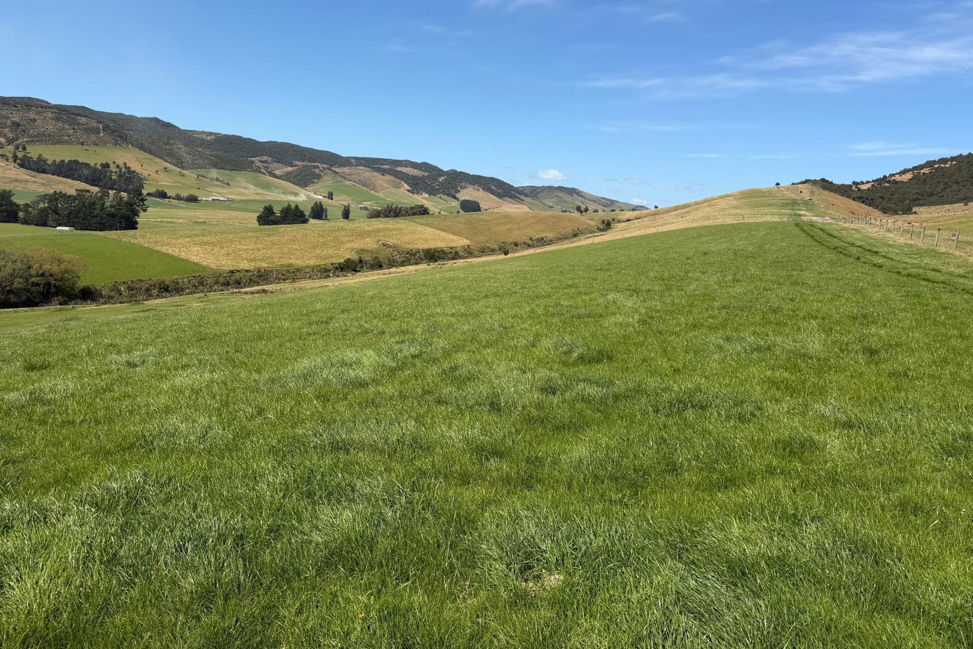 Caroline Valley Road, Dipton