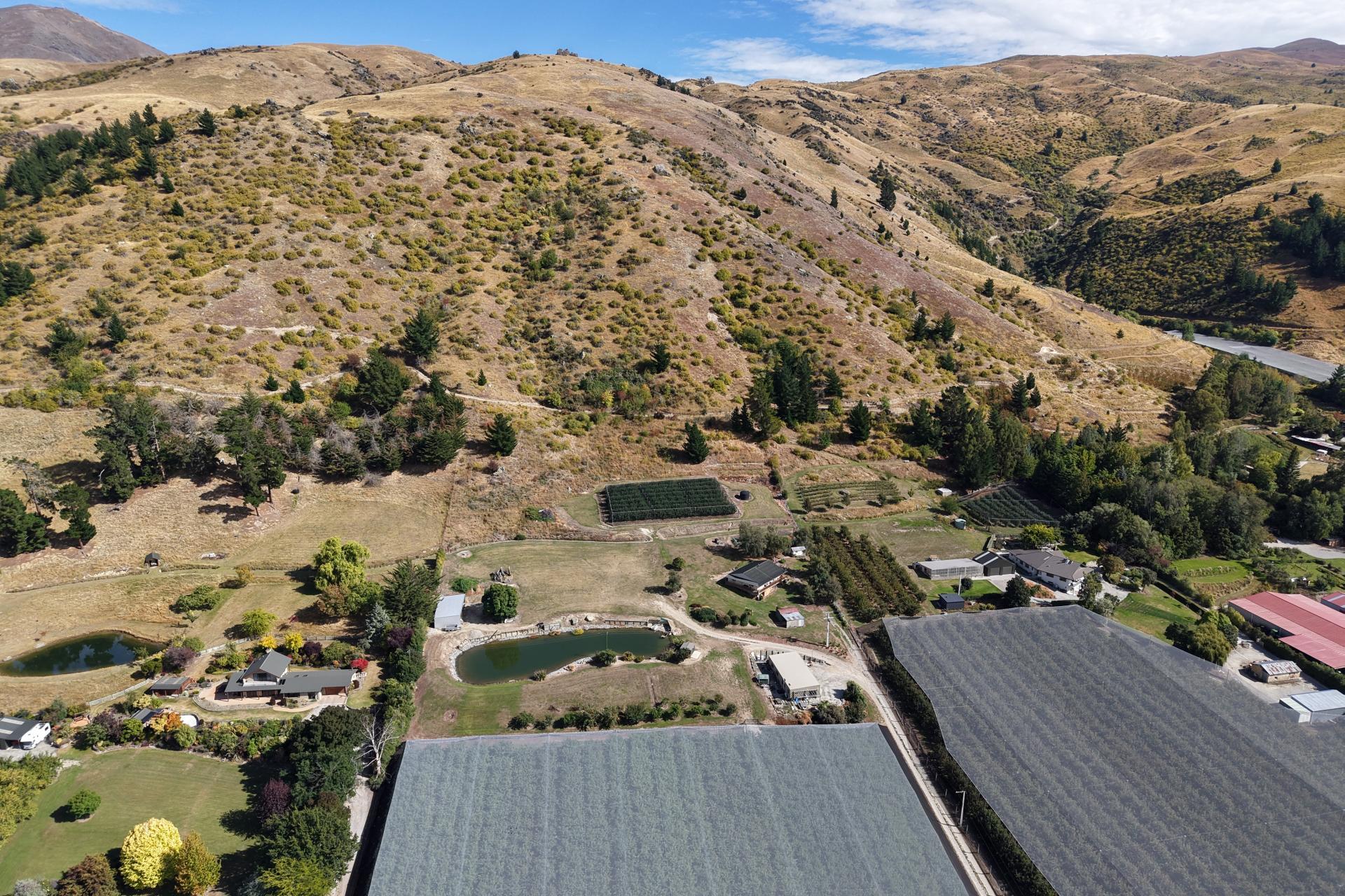 260 Ripponvale Road, Cromwell