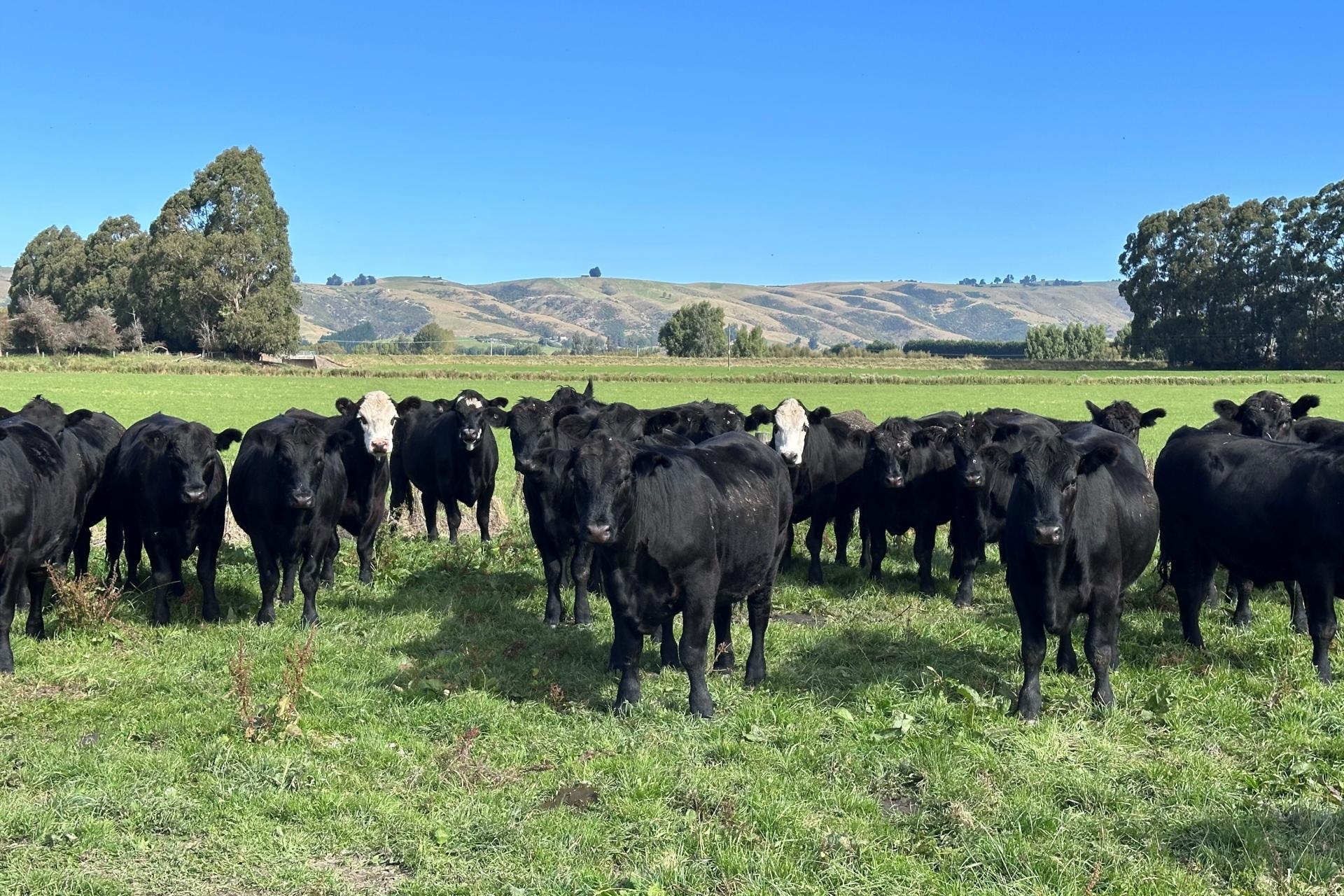 305 Riverside Road, Taieri Plain