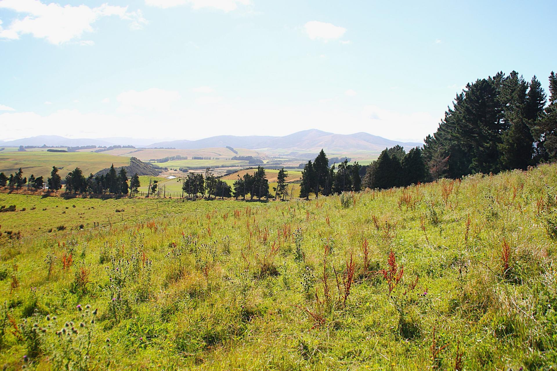 93 Ridgedale Road, Te Anau