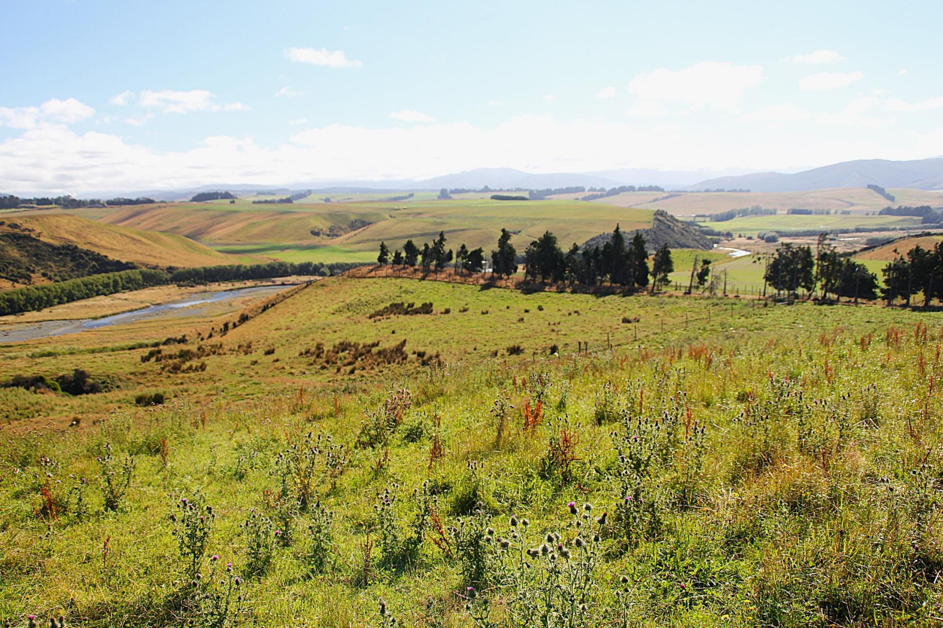 93 Ridgedale Road, Te Anau