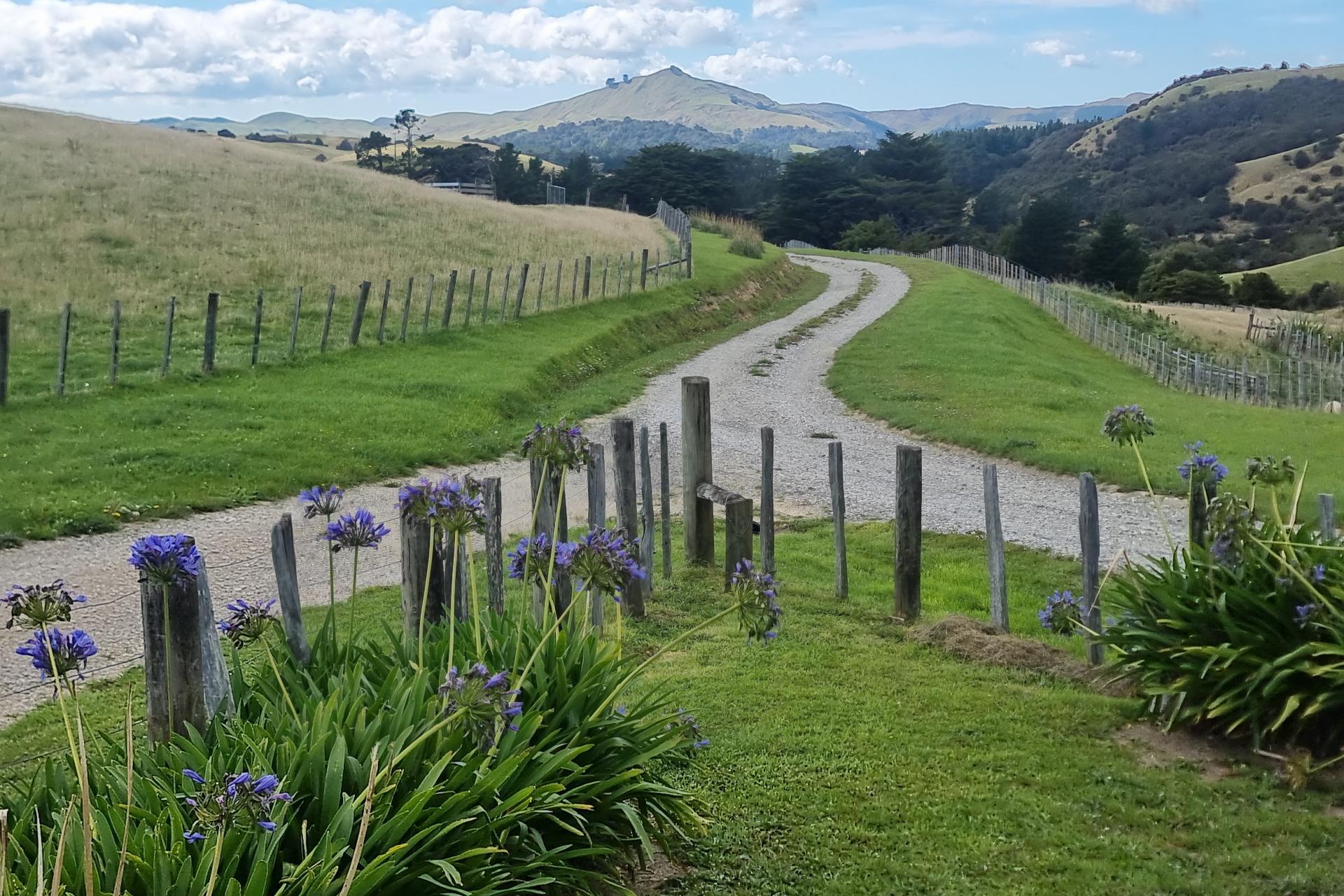 4820 Pahiatua Pongaroa Road, Pongaroa