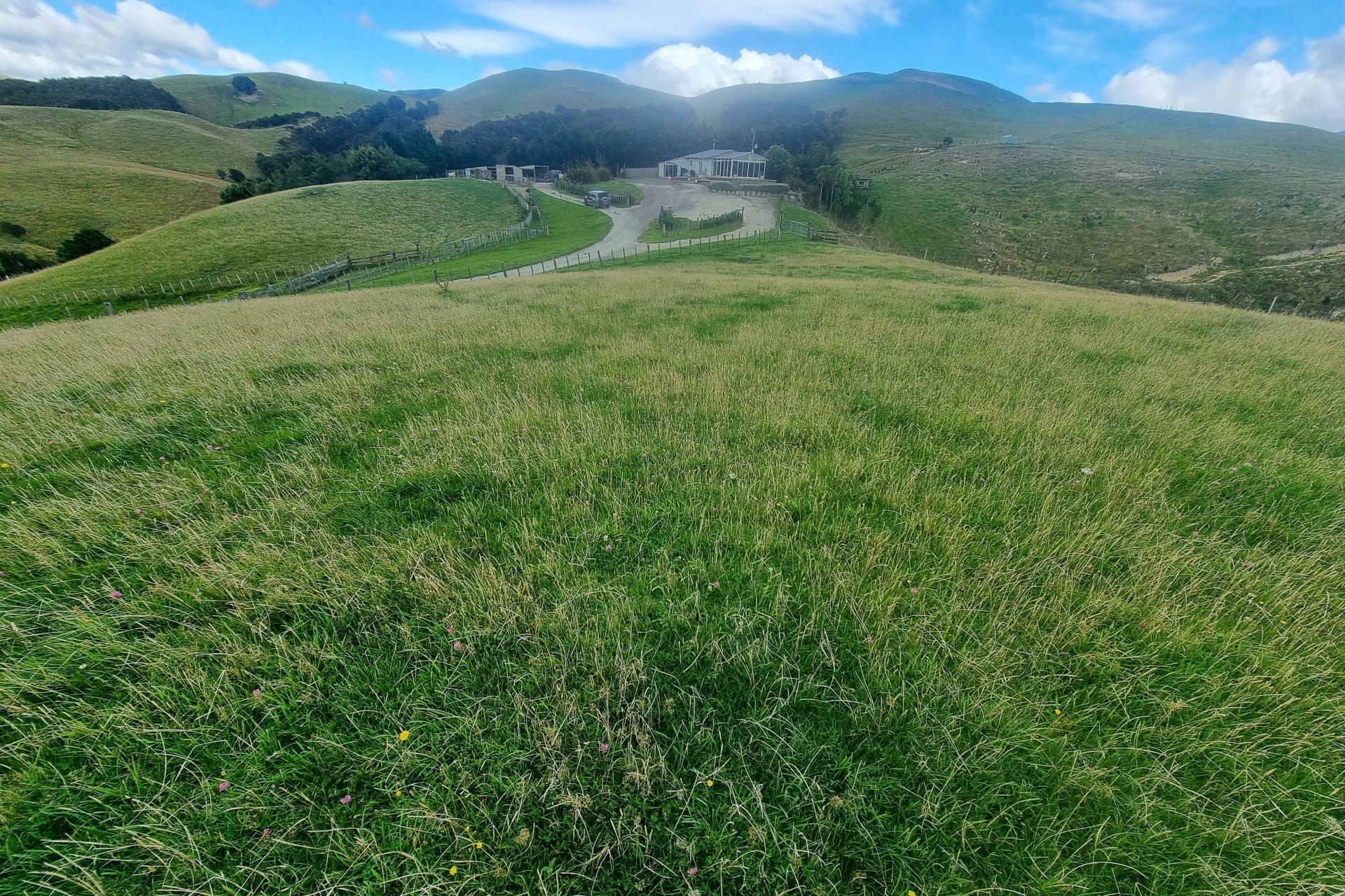 4820 Pahiatua Pongaroa Road, Pongaroa