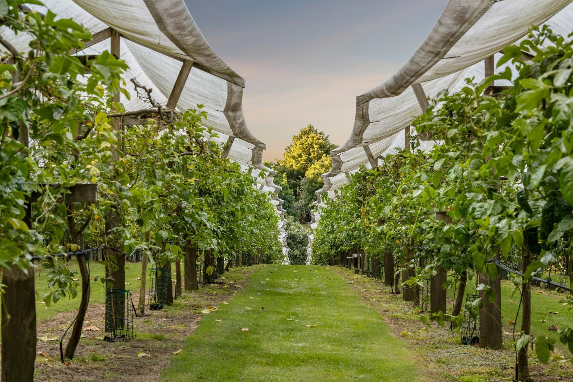 241 Rea Road, Katikati