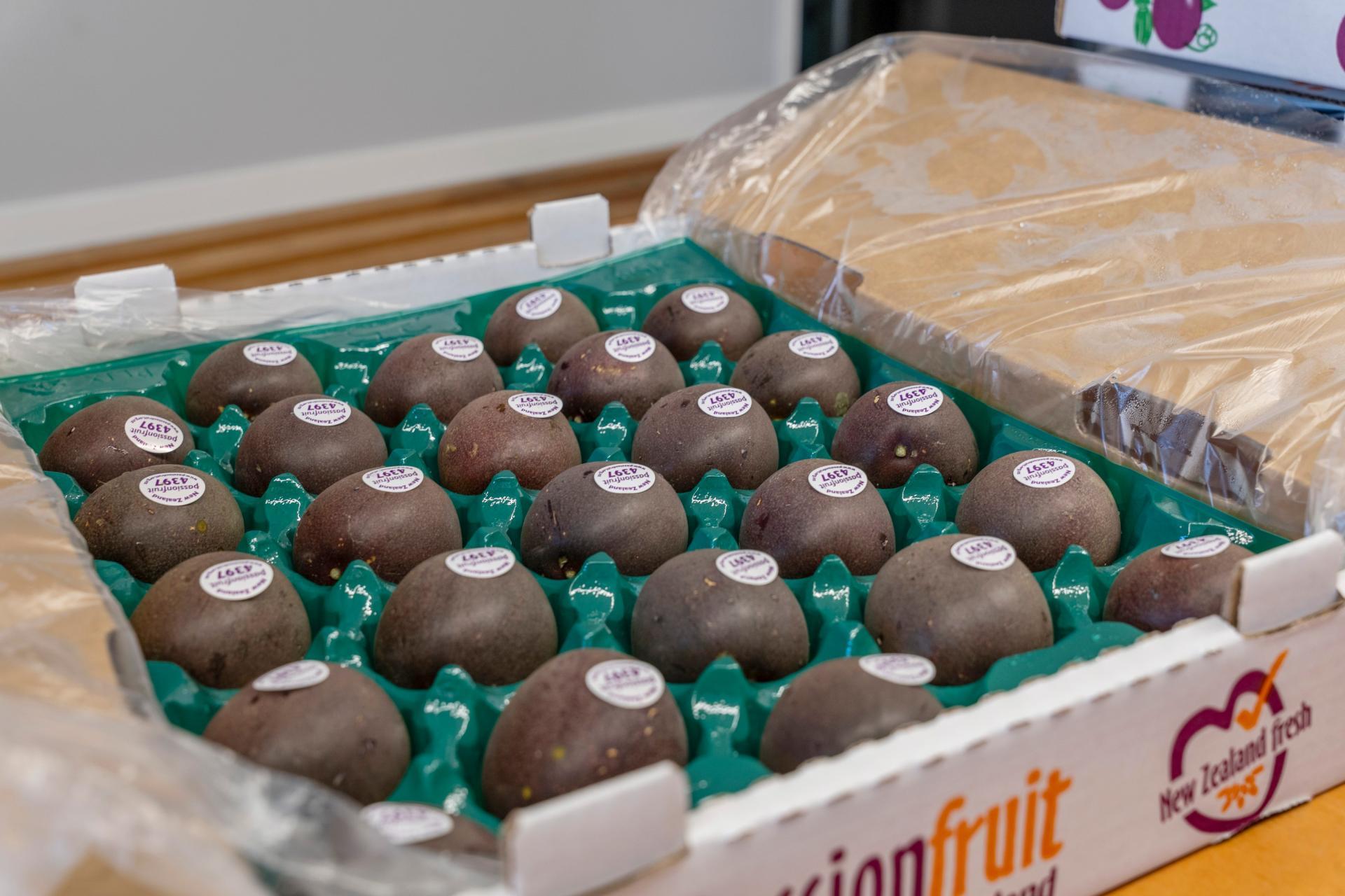 241 Rea Road, Katikati