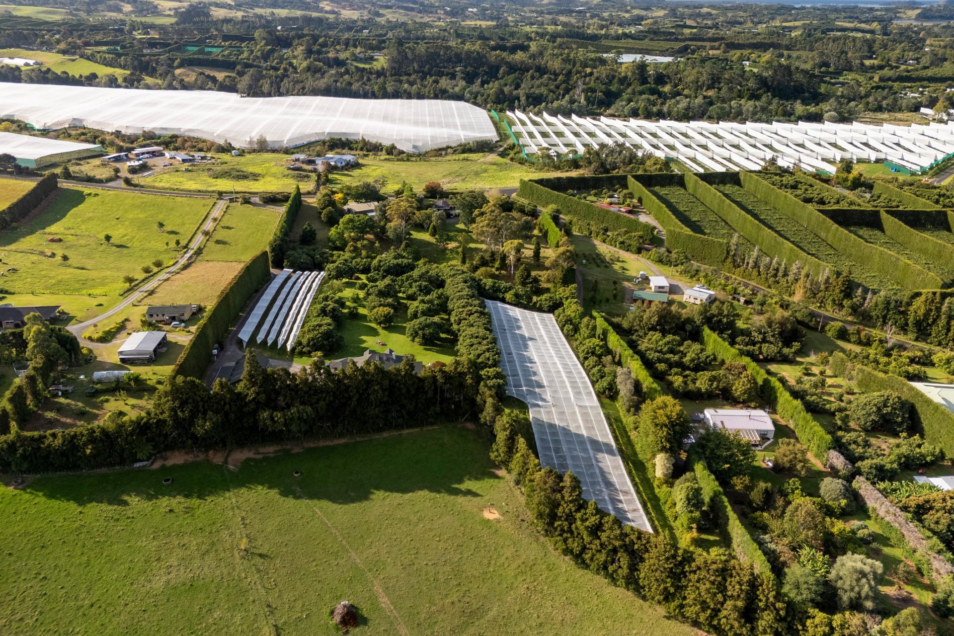 241 Rea Road, Katikati