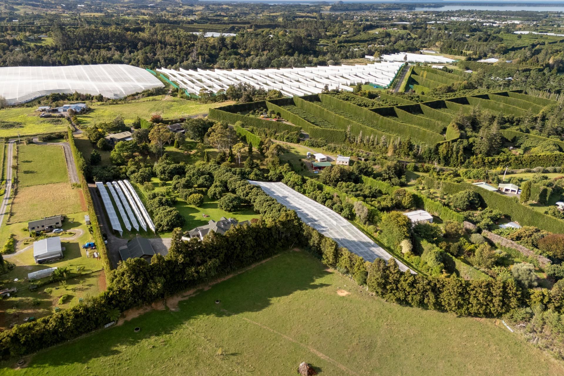 241 Rea Road, Katikati