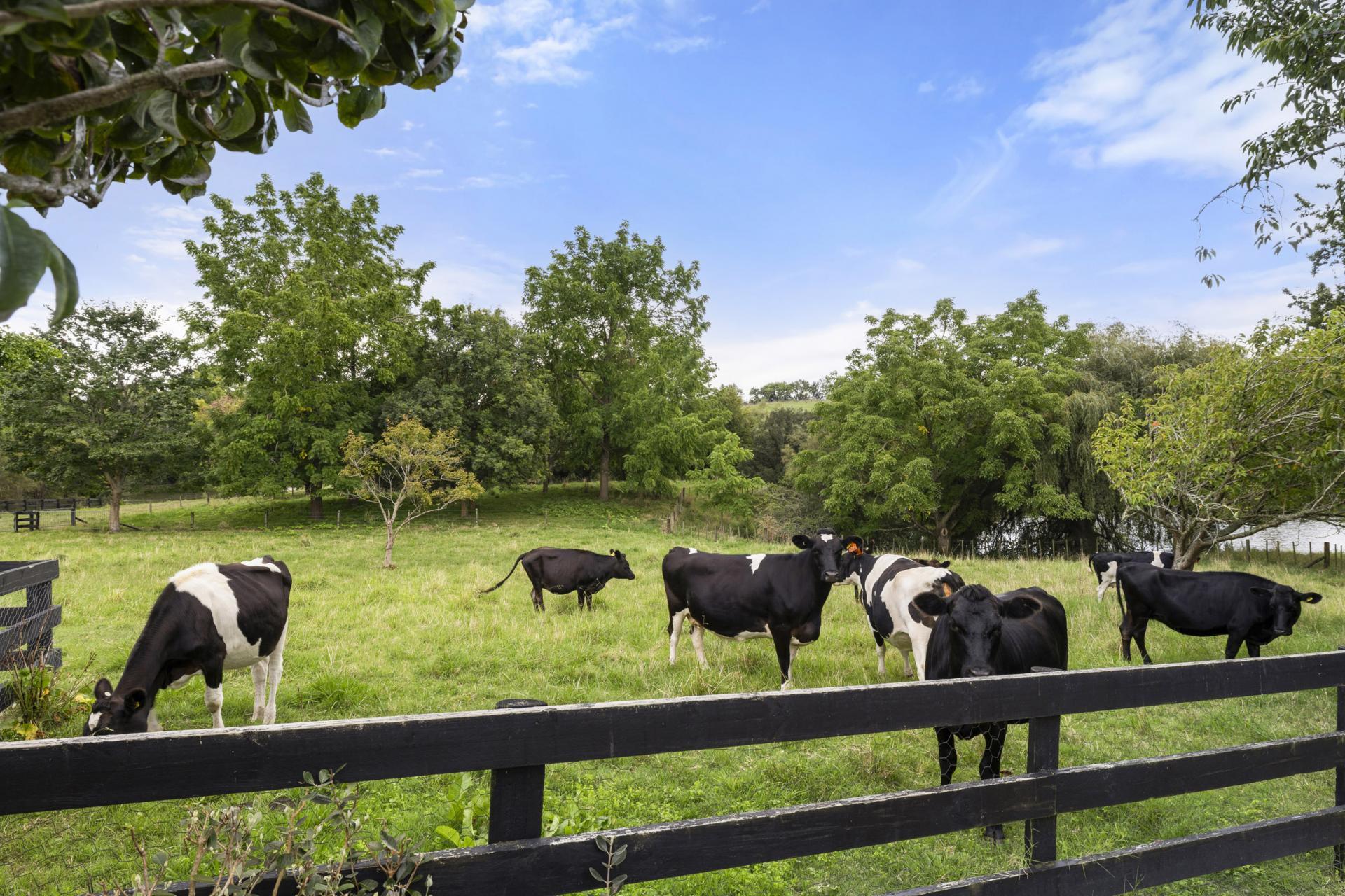 47 Raynes Road, Rukuhia