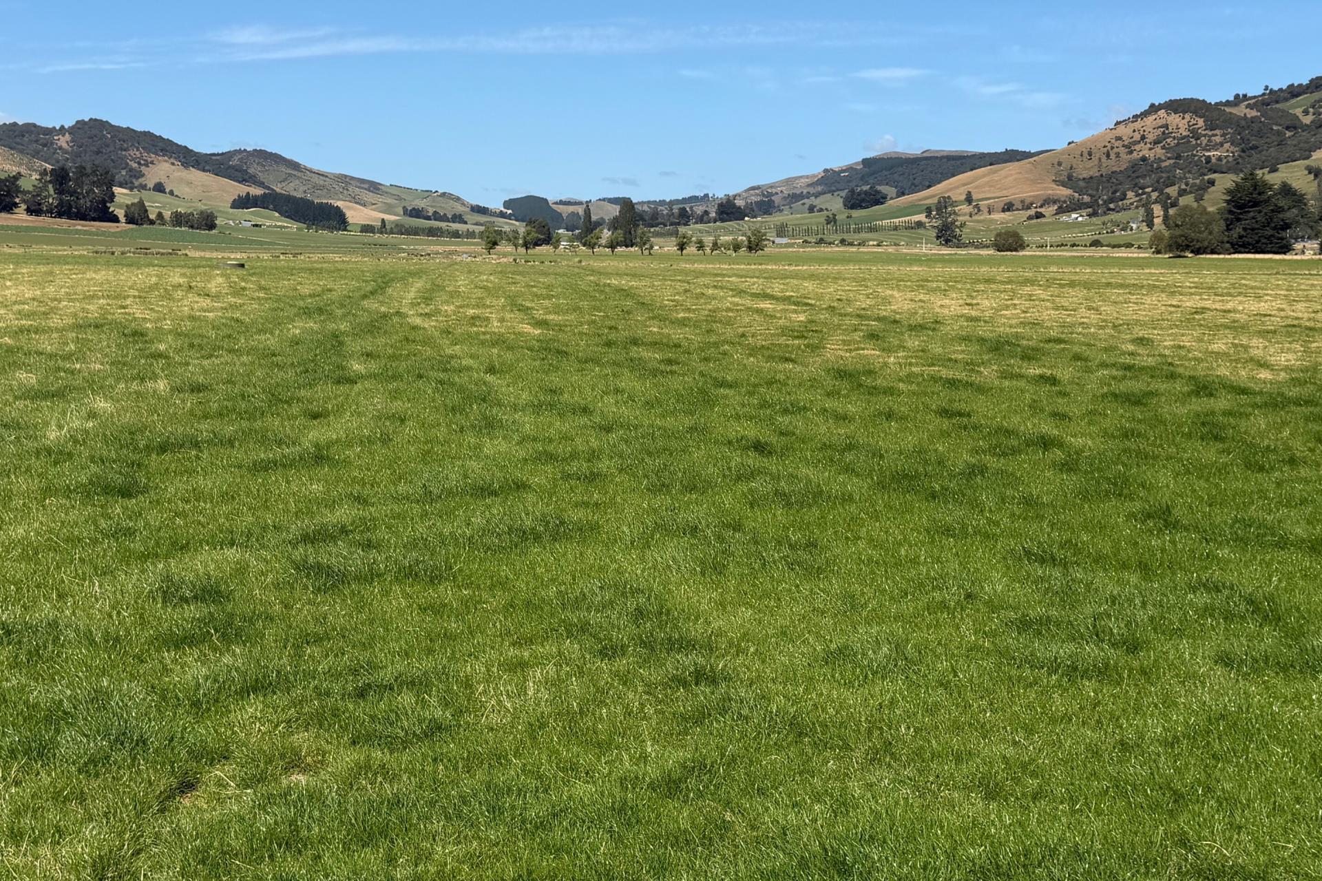 200 Caroline Valley Road, Dipton