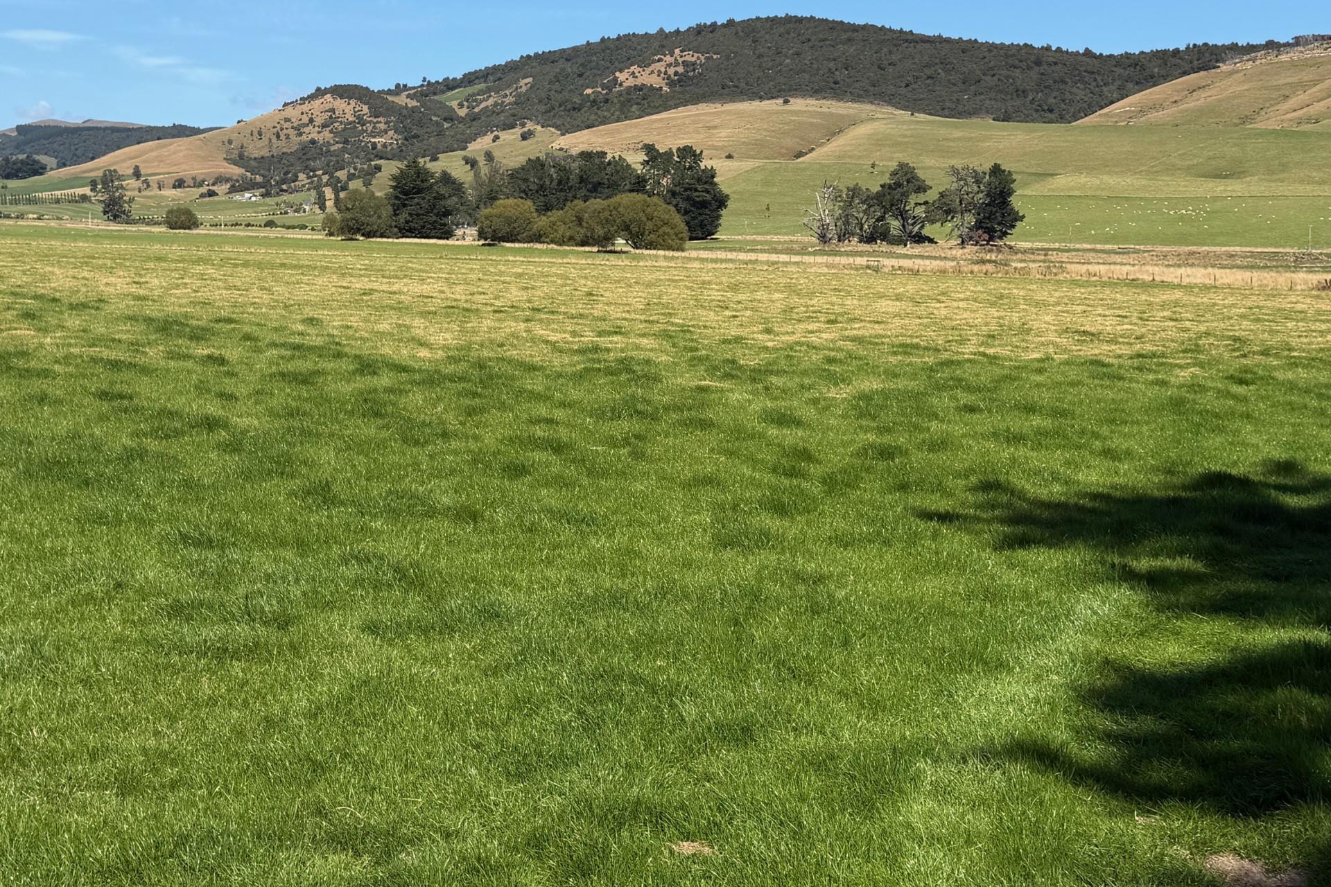 200 Caroline Valley Road, Dipton