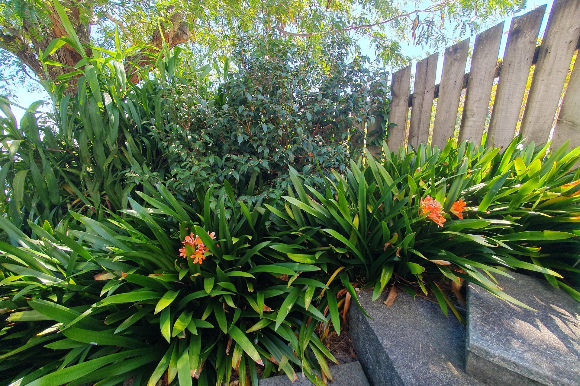 117 Edward Street, Thames