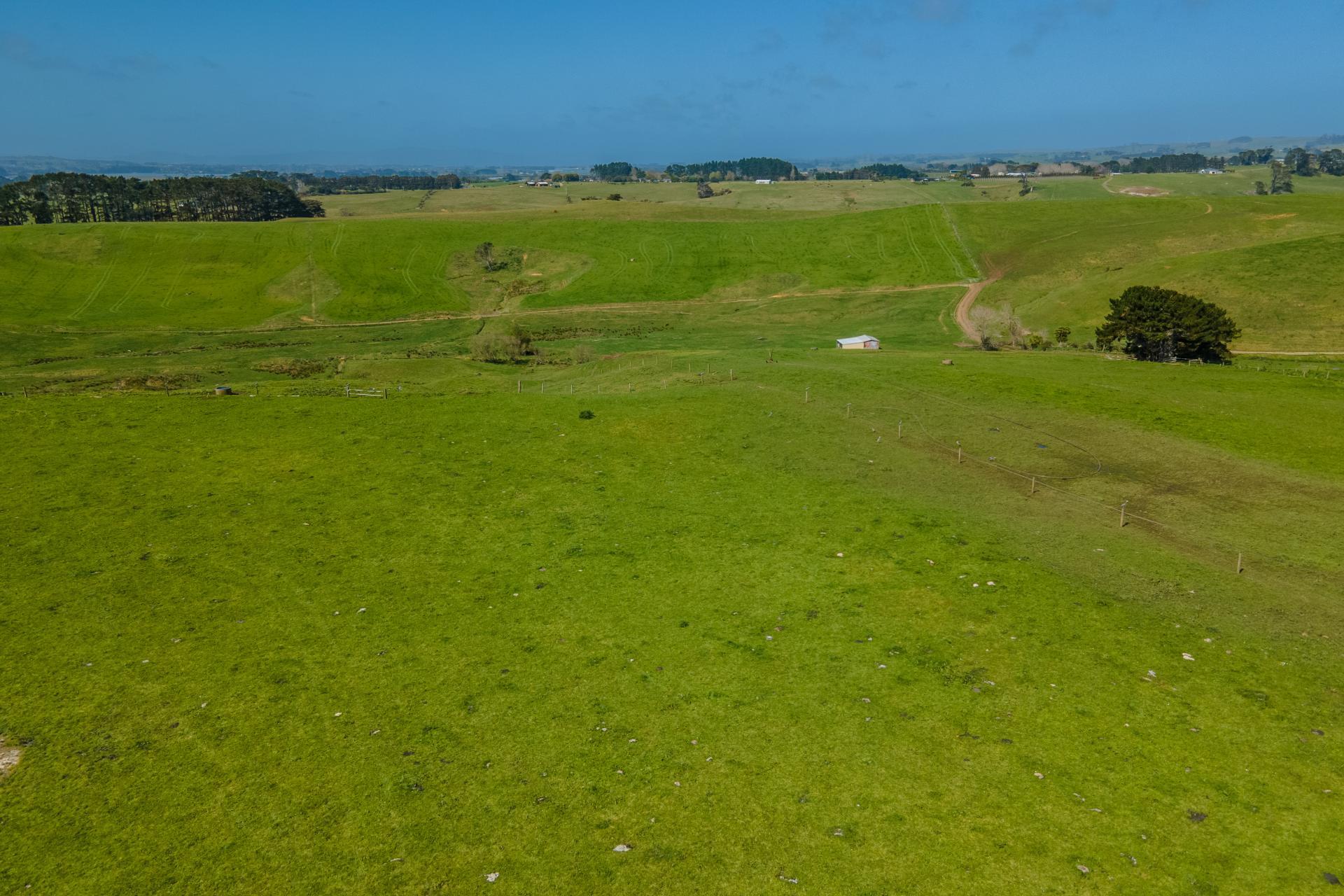 Waiuku