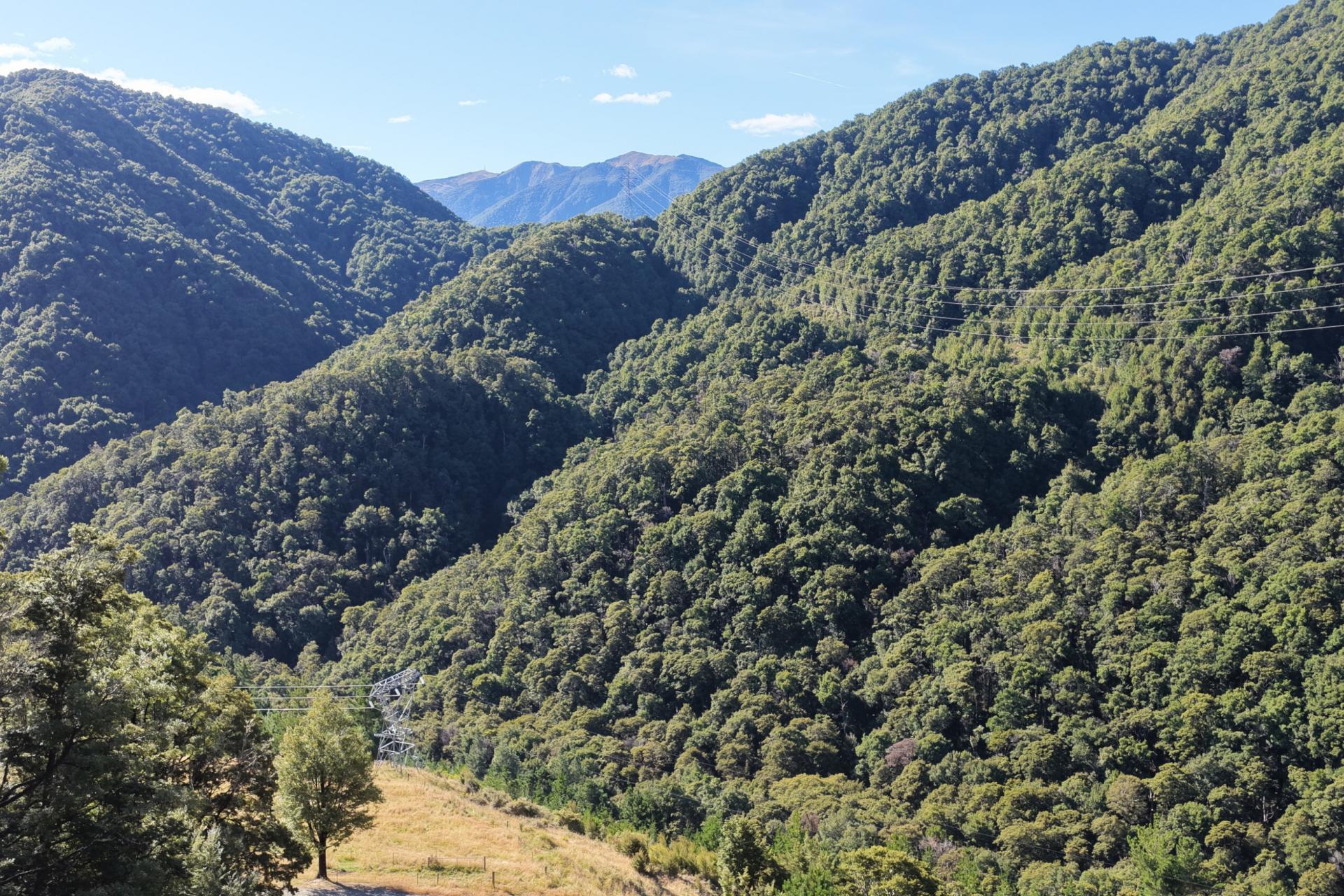 291 Braeburn Track, Braeburn Range