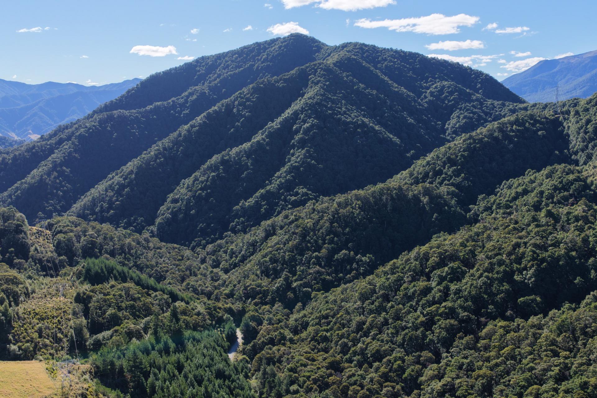 291 Braeburn Track, Braeburn Range