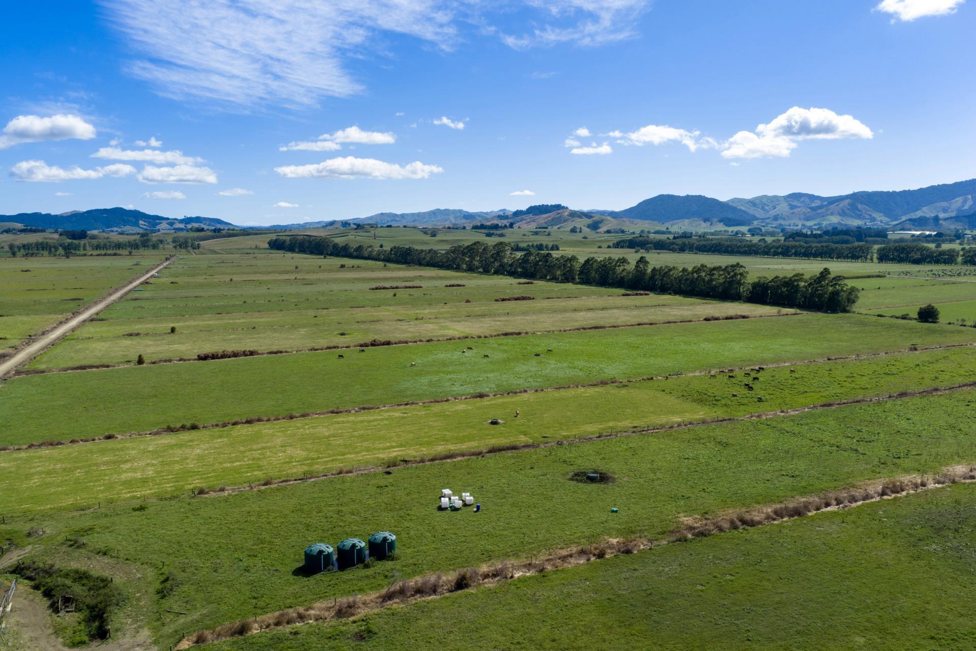 331 Kneebone Road, Orini