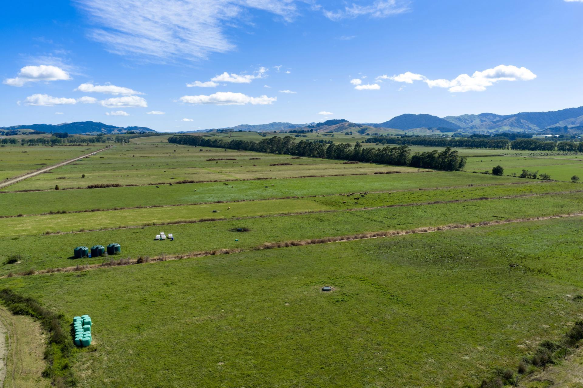 331 Kneebone Road, Orini