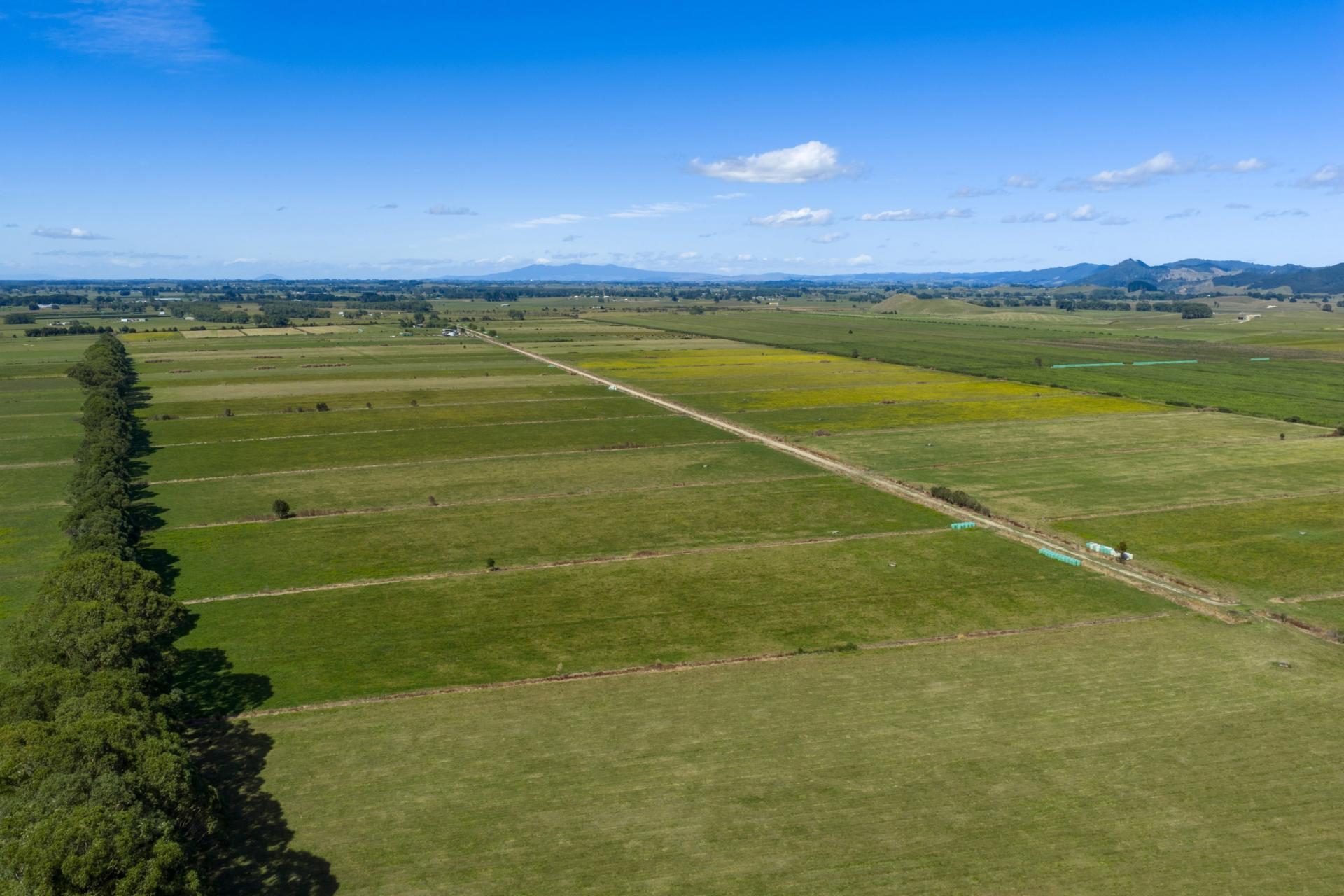 331 Kneebone Road, Orini