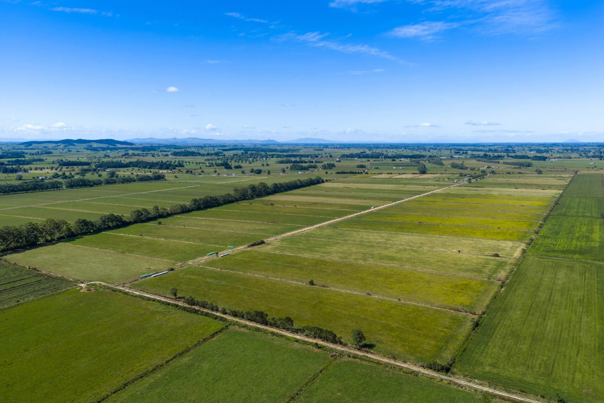 331 Kneebone Road, Orini