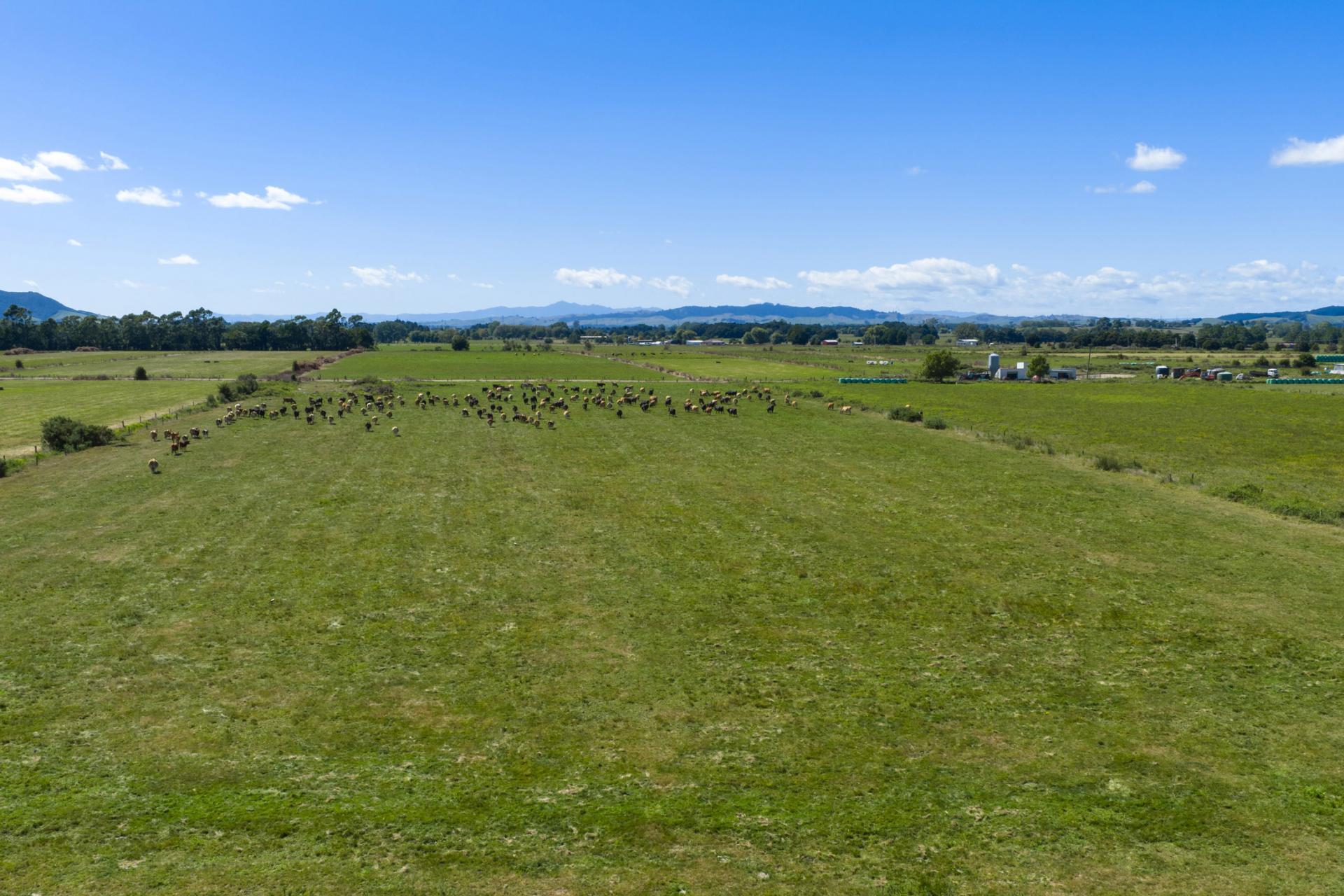 331 Kneebone Road, Orini