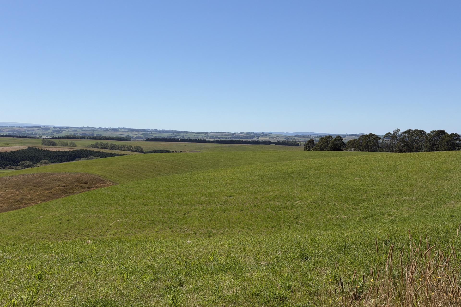 675 Black Bridge Road, Ashley Downs