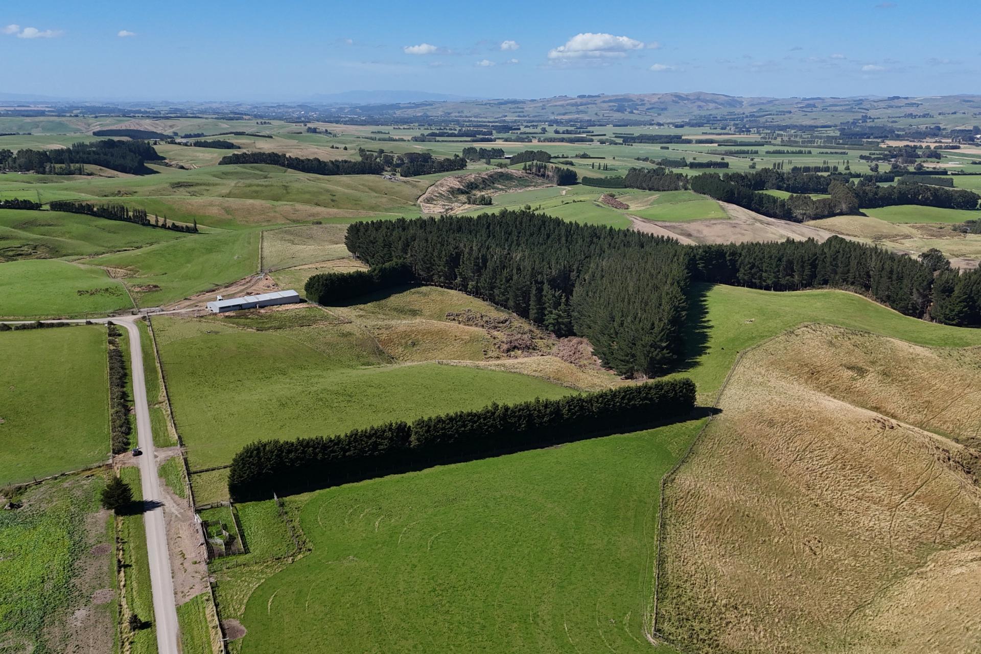 Glendhu Road, Mataura