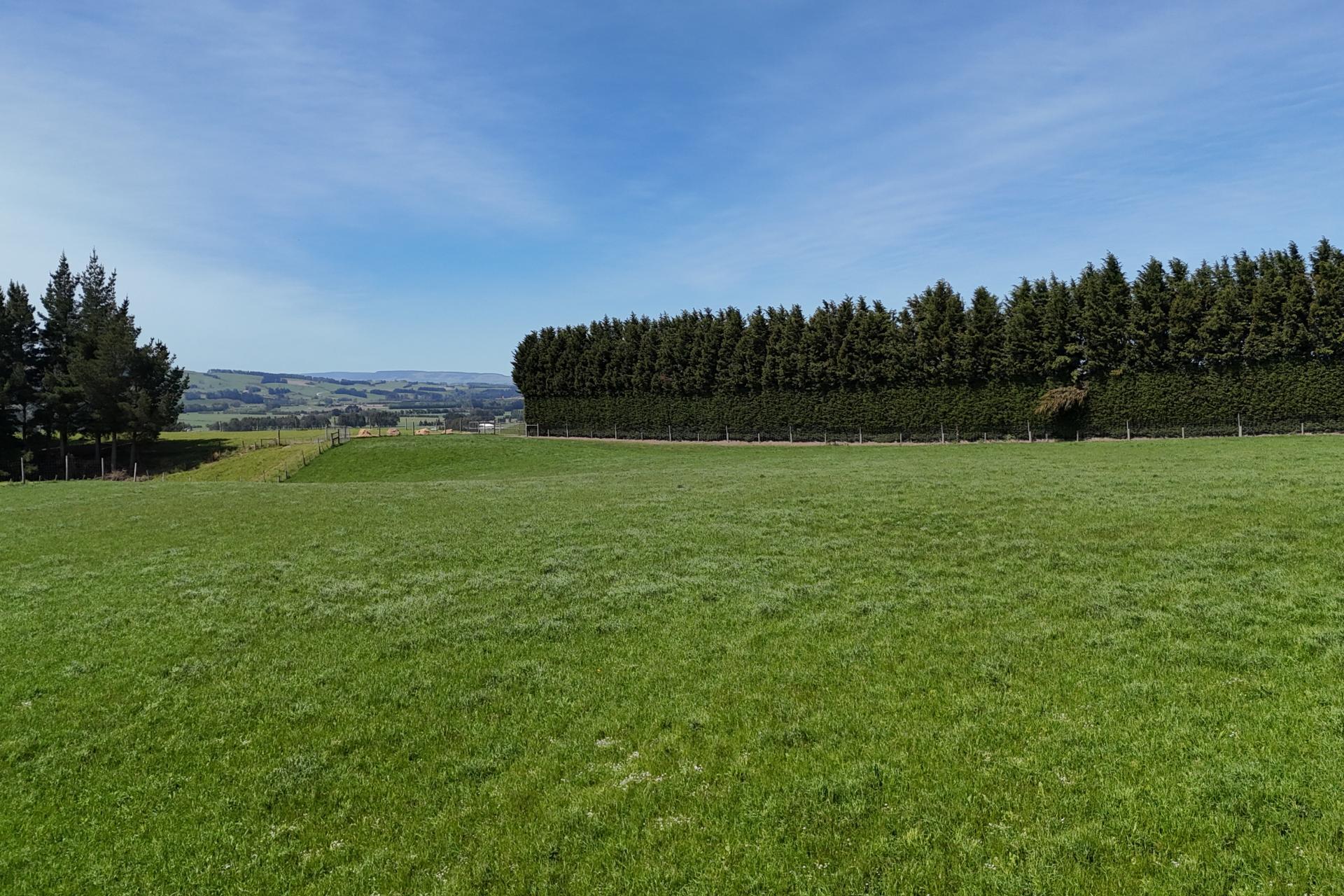 Glendhu Road, Mataura