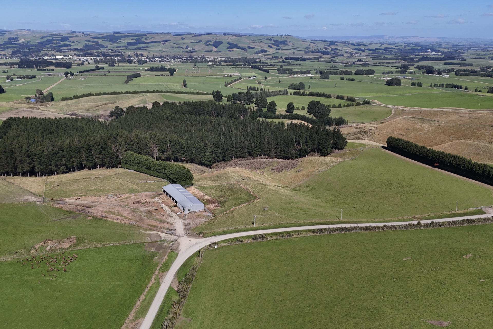 Glendhu Road, Mataura