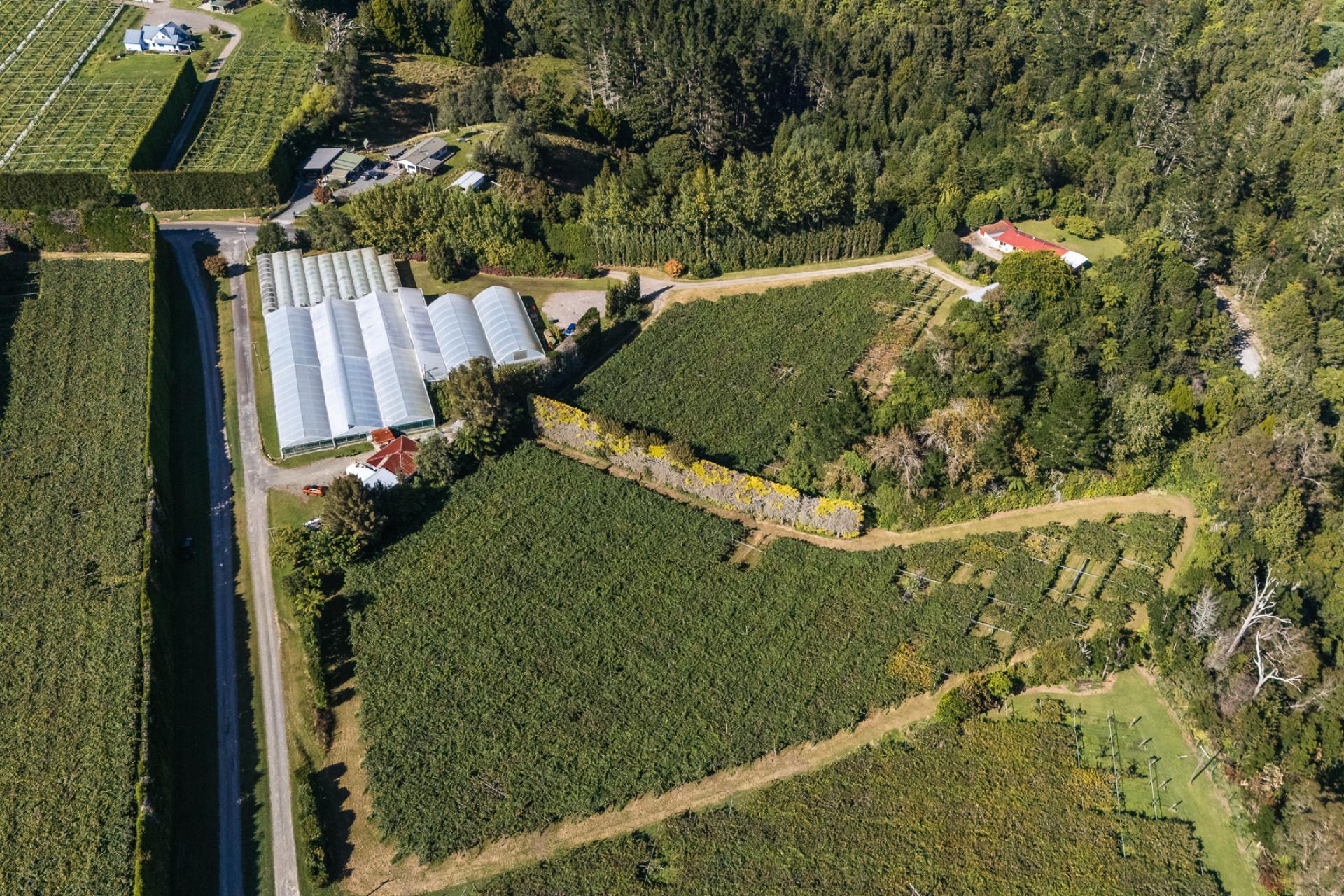 1164 No 3 Road, Te Puke