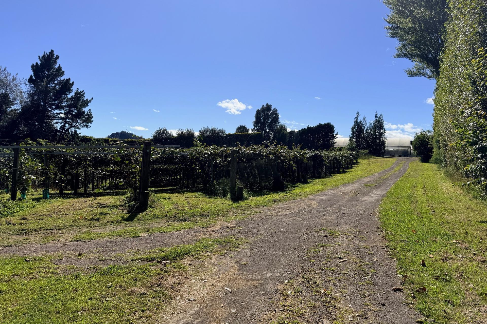 1164 No 3 Road, Te Puke