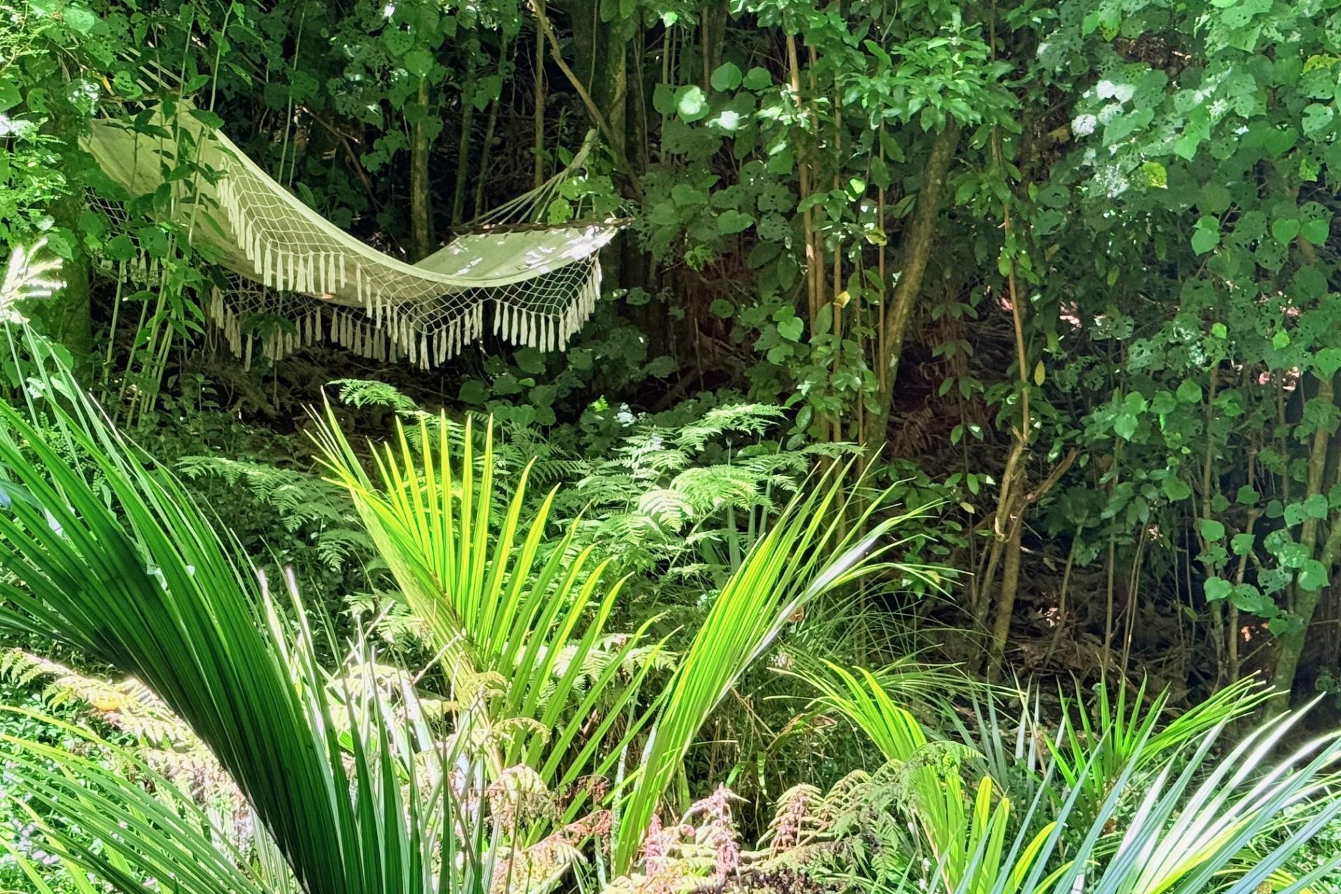 1164 No 3 Road, Te Puke