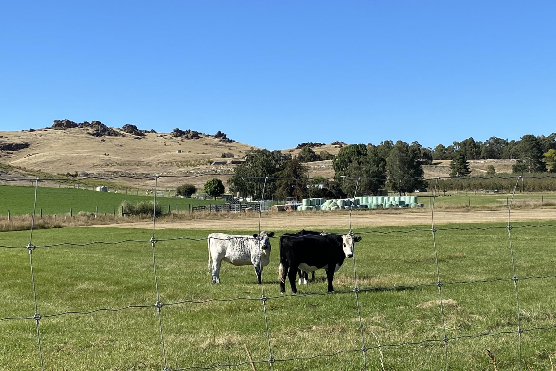 272 Galloway Road, Galloway