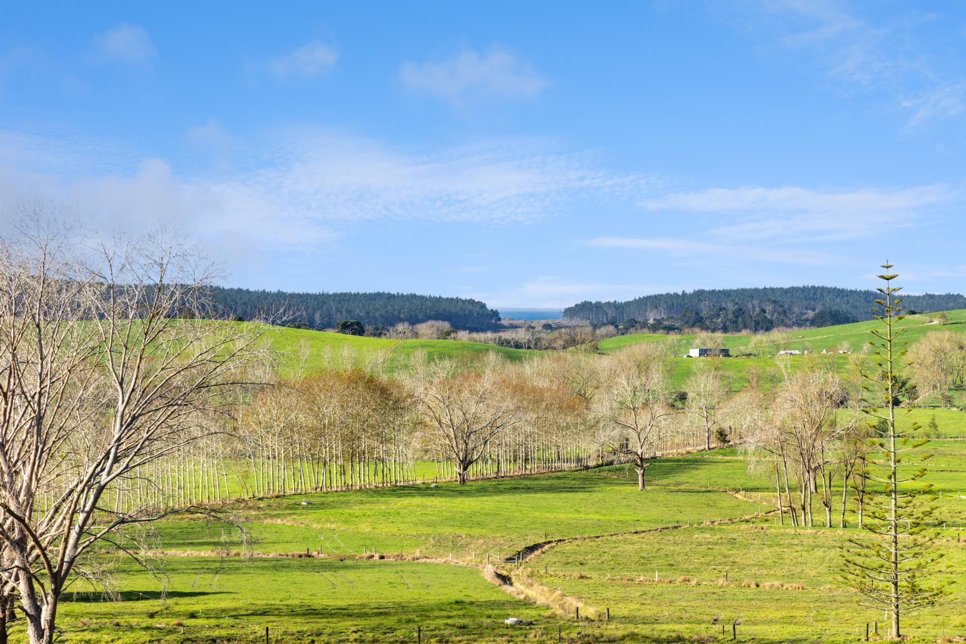 1500 Mangawhai Road, Mangawhai