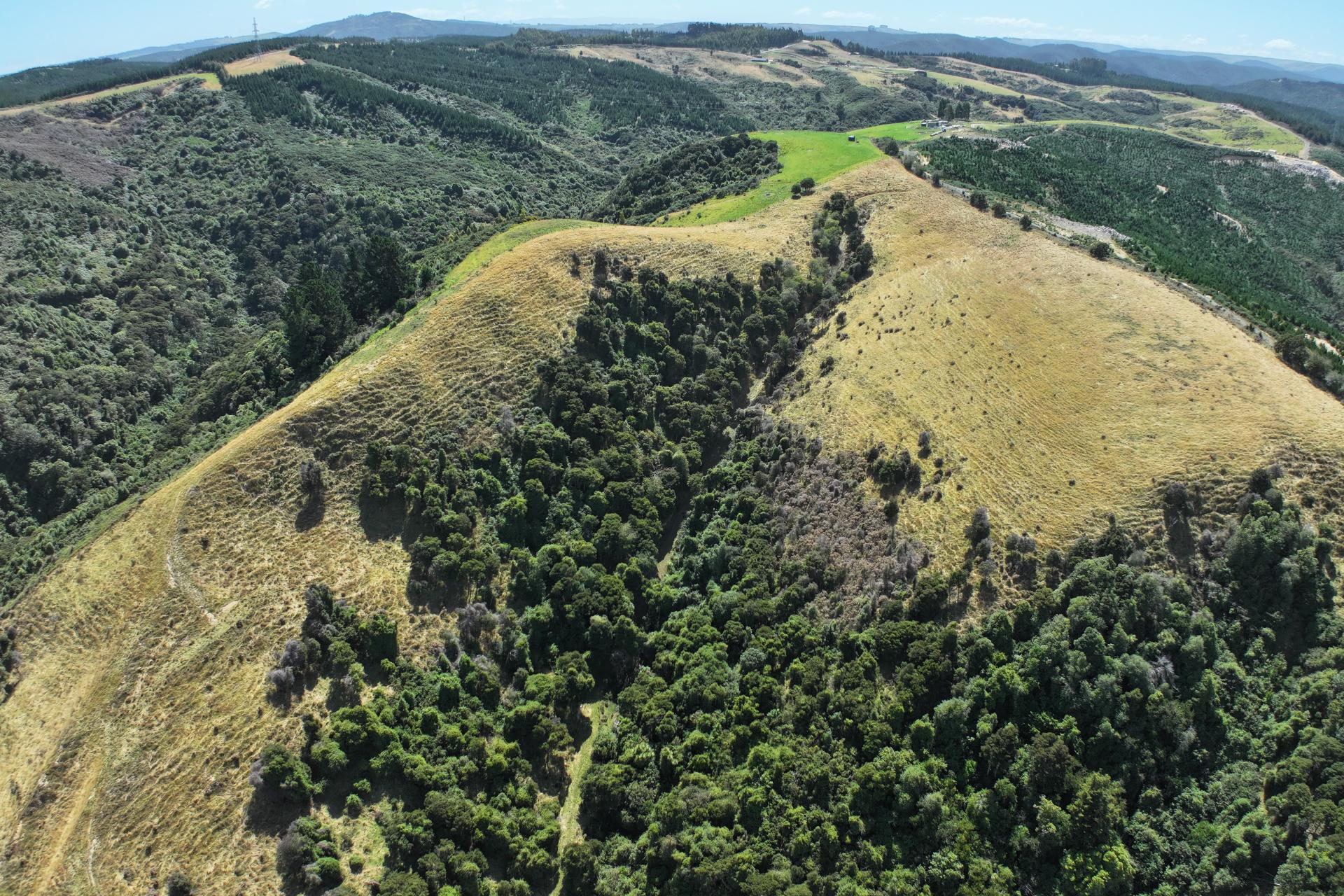160 Taioma Road, North Taieri