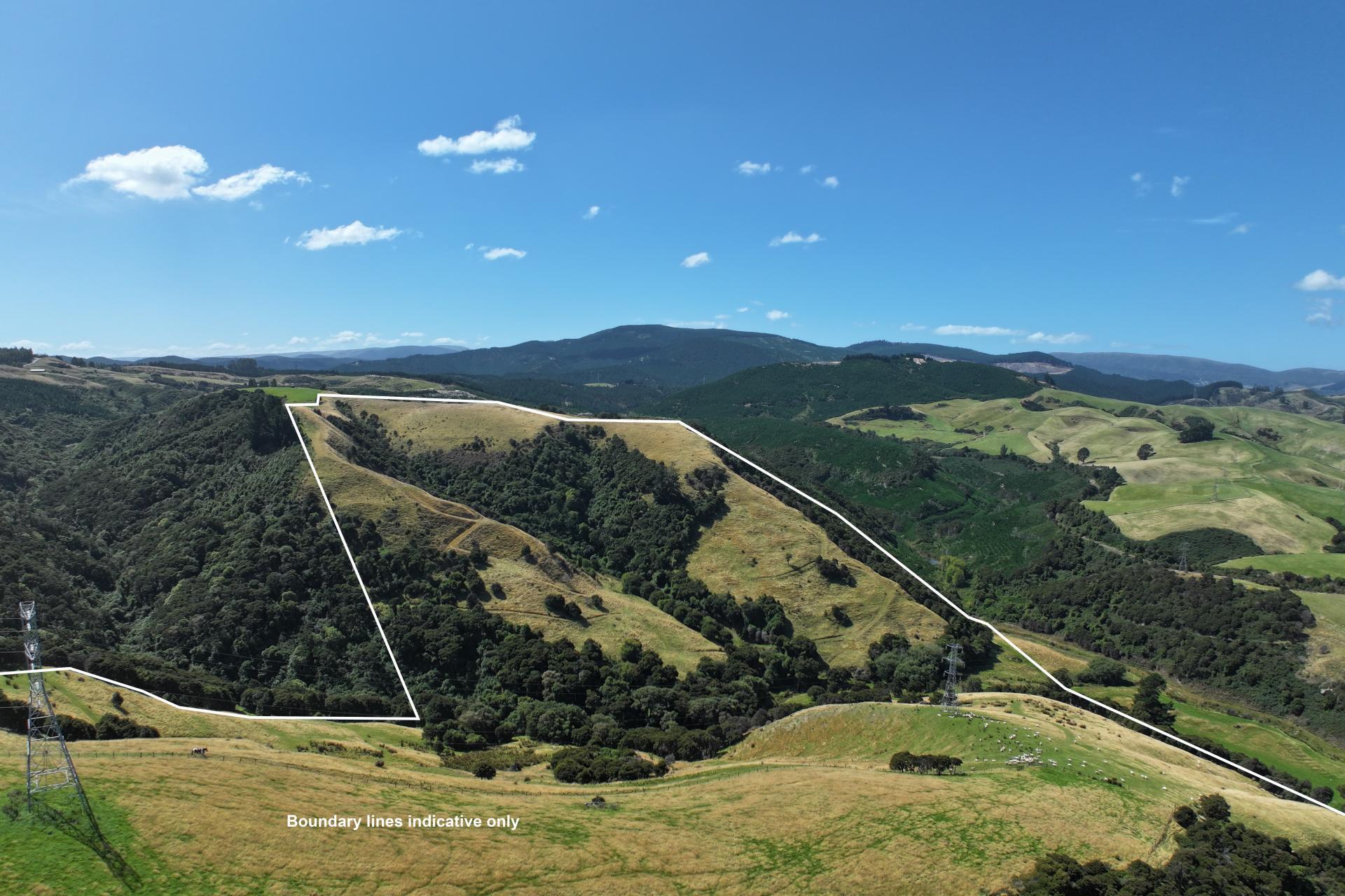 160 Taioma Road, North Taieri