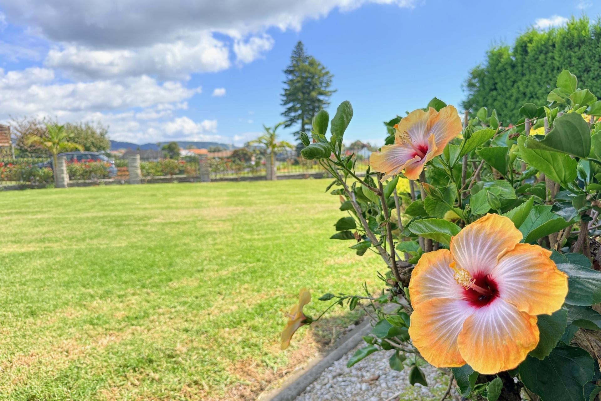 57B Fairview Place, Te Puke