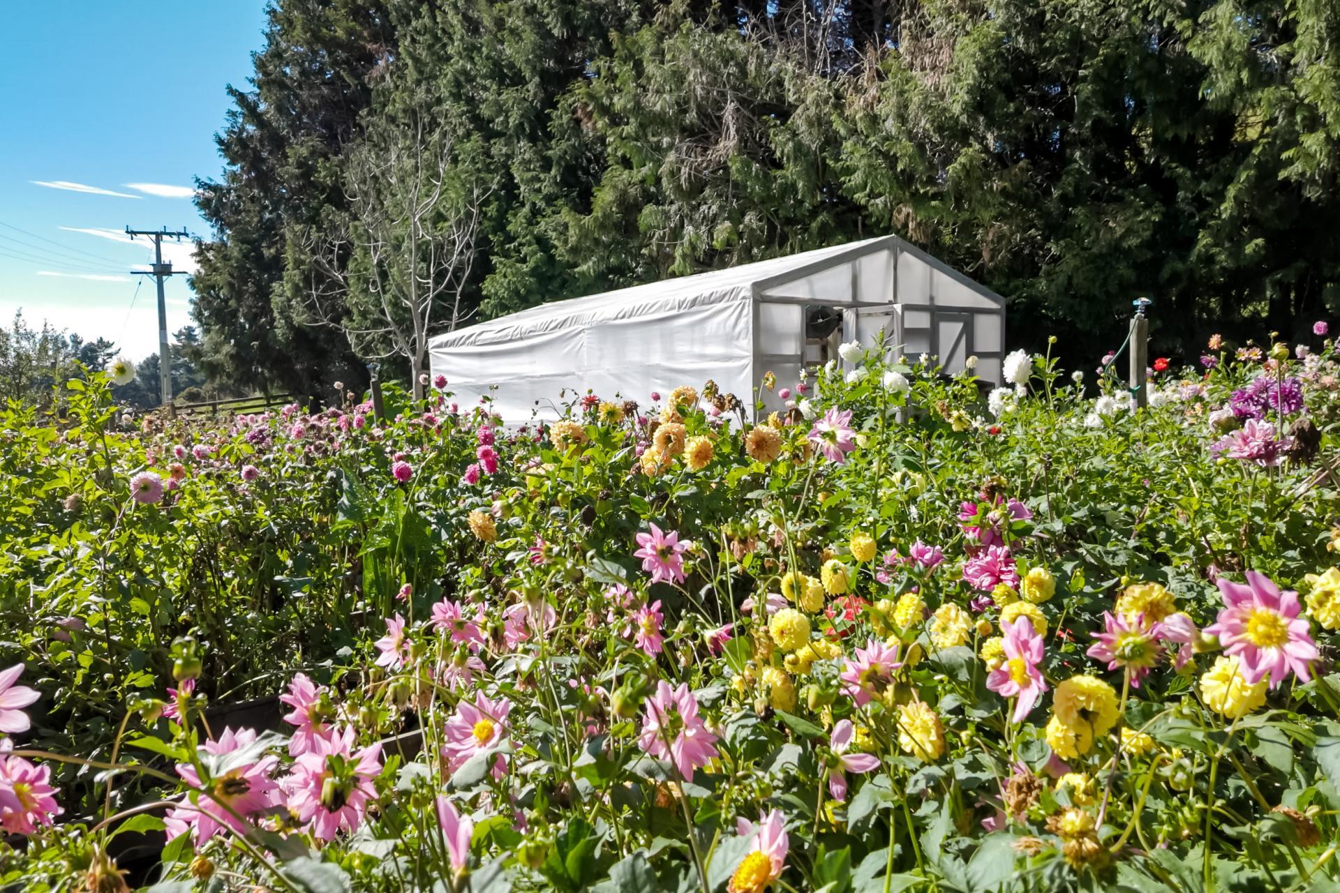 510 Smedley Road, Tikokino