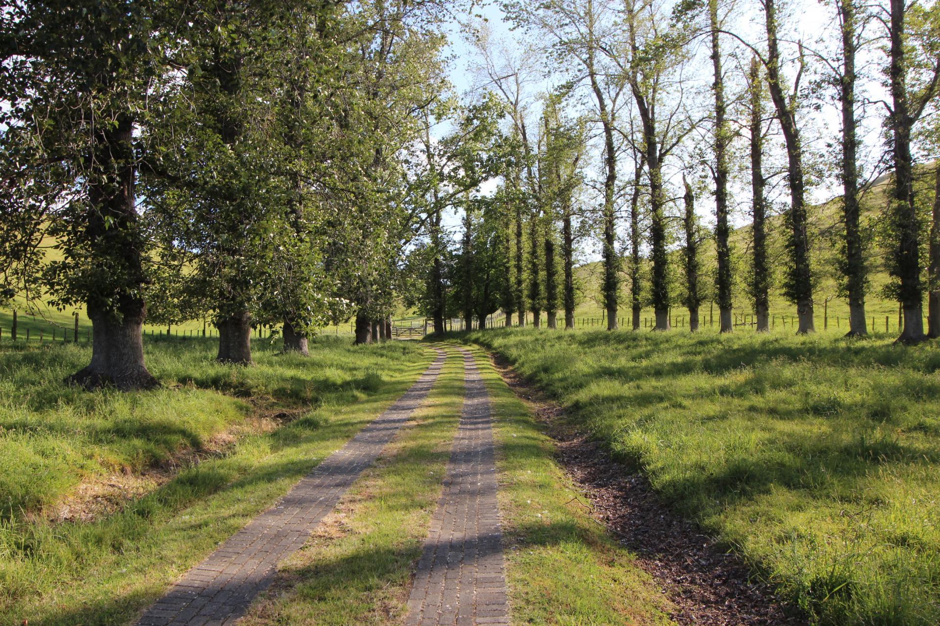 510 Smedley Road, Tikokino