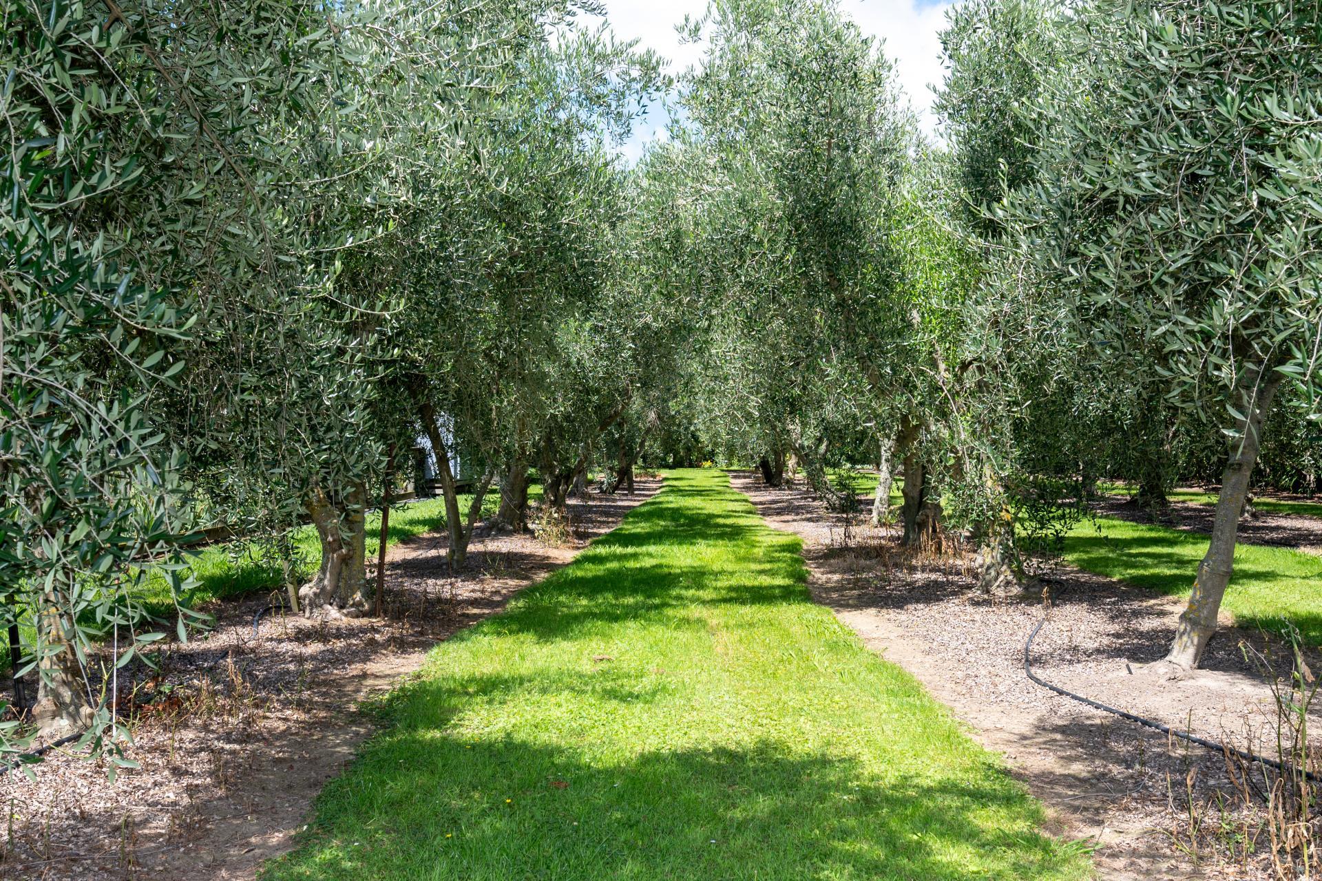 438 Twyford Road, Twyford