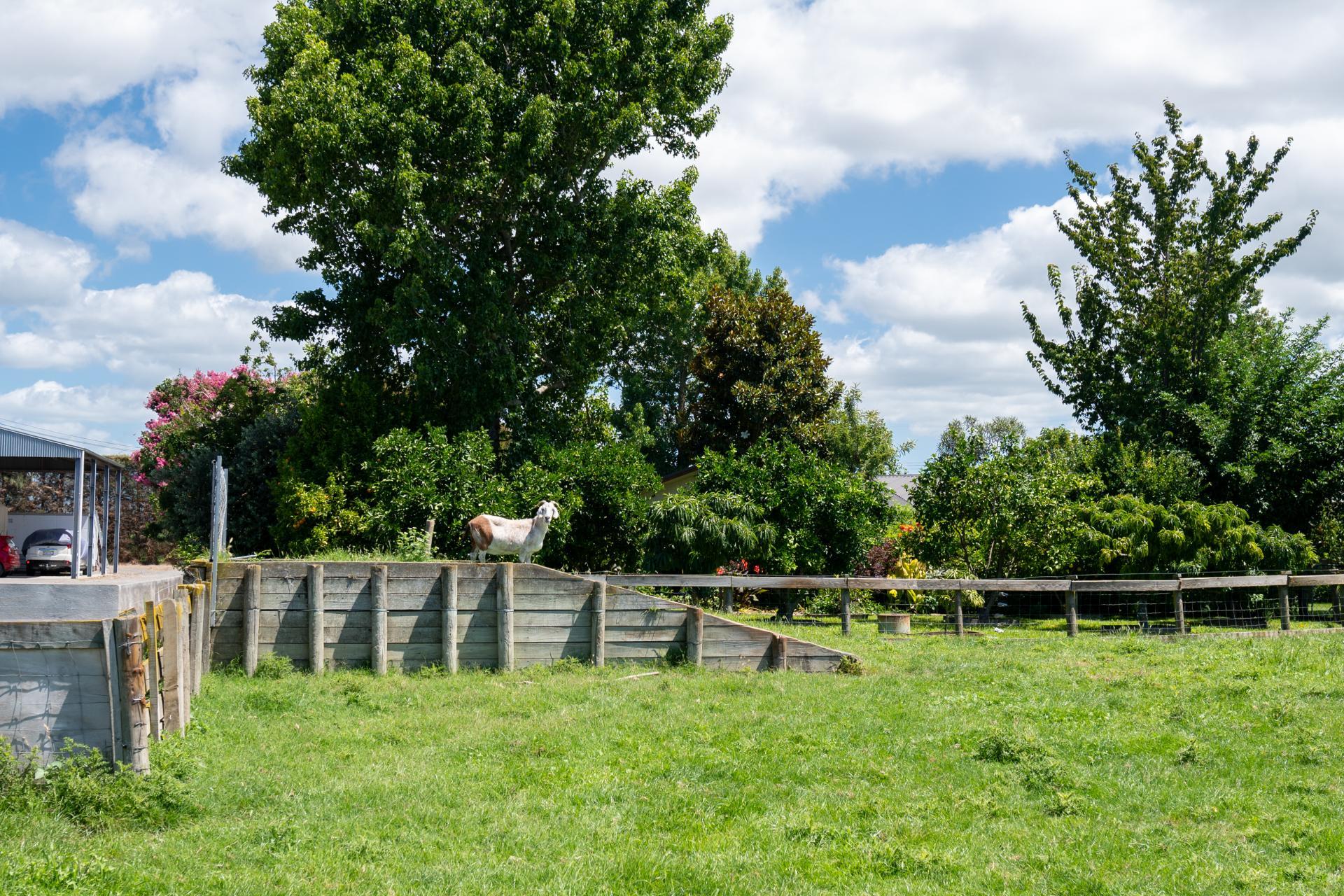 438 Twyford Road, Twyford