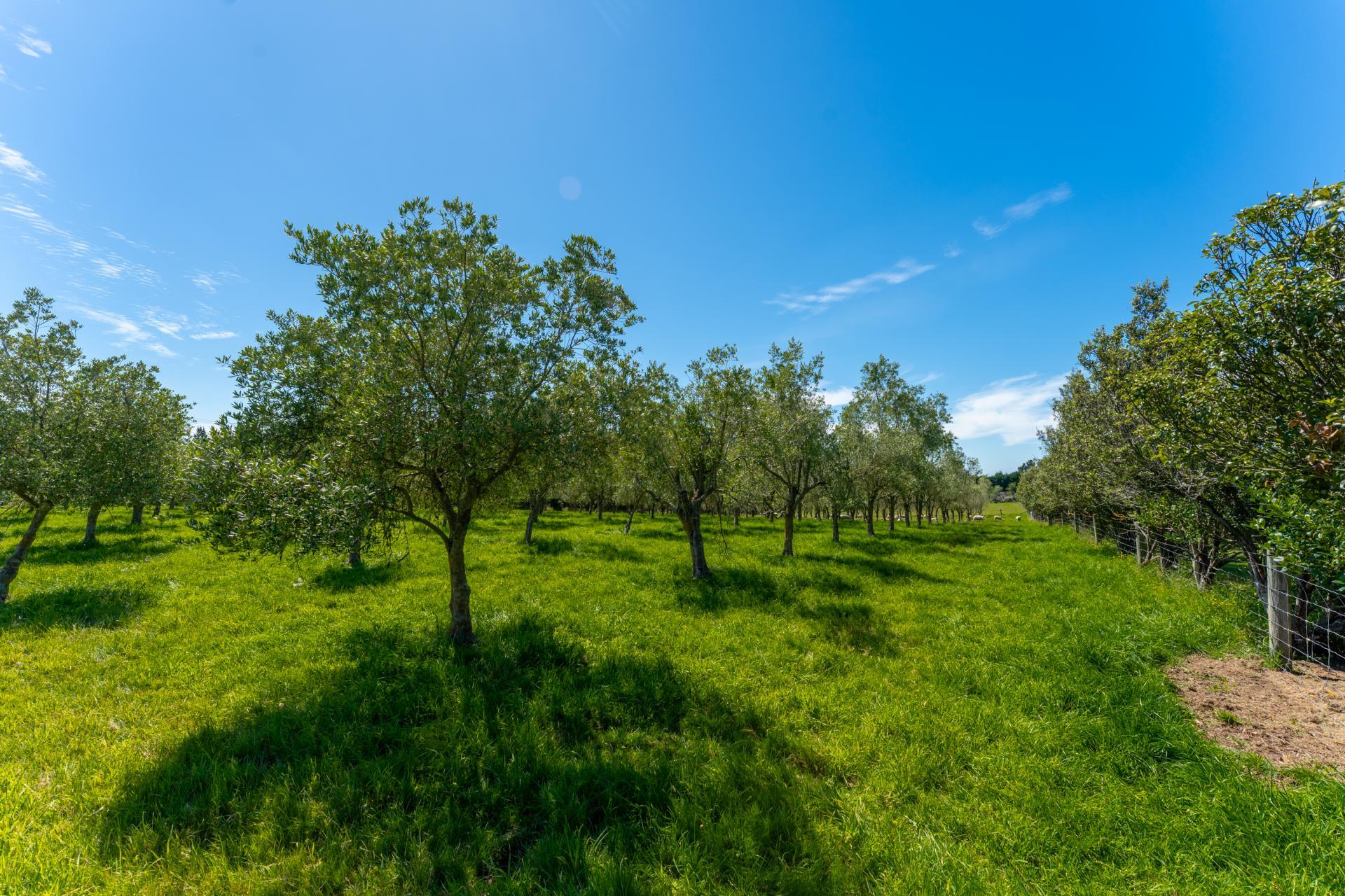 801 Rolling Ridges Road, Levels Valley