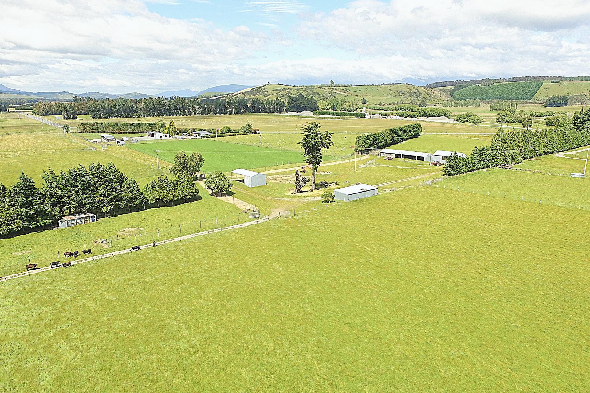 105 Lynwood Road, Hillside