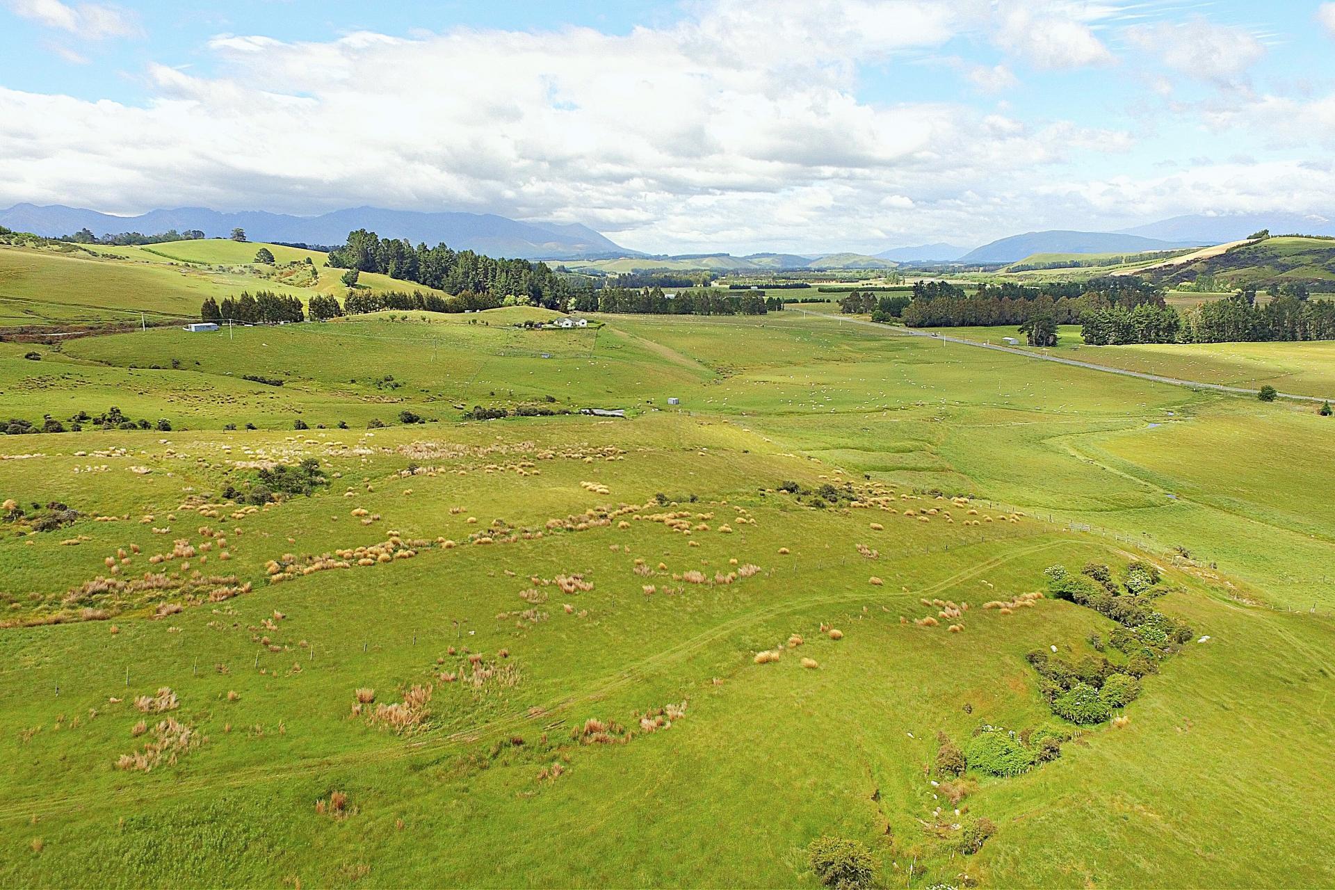 105 Lynwood Road, Hillside