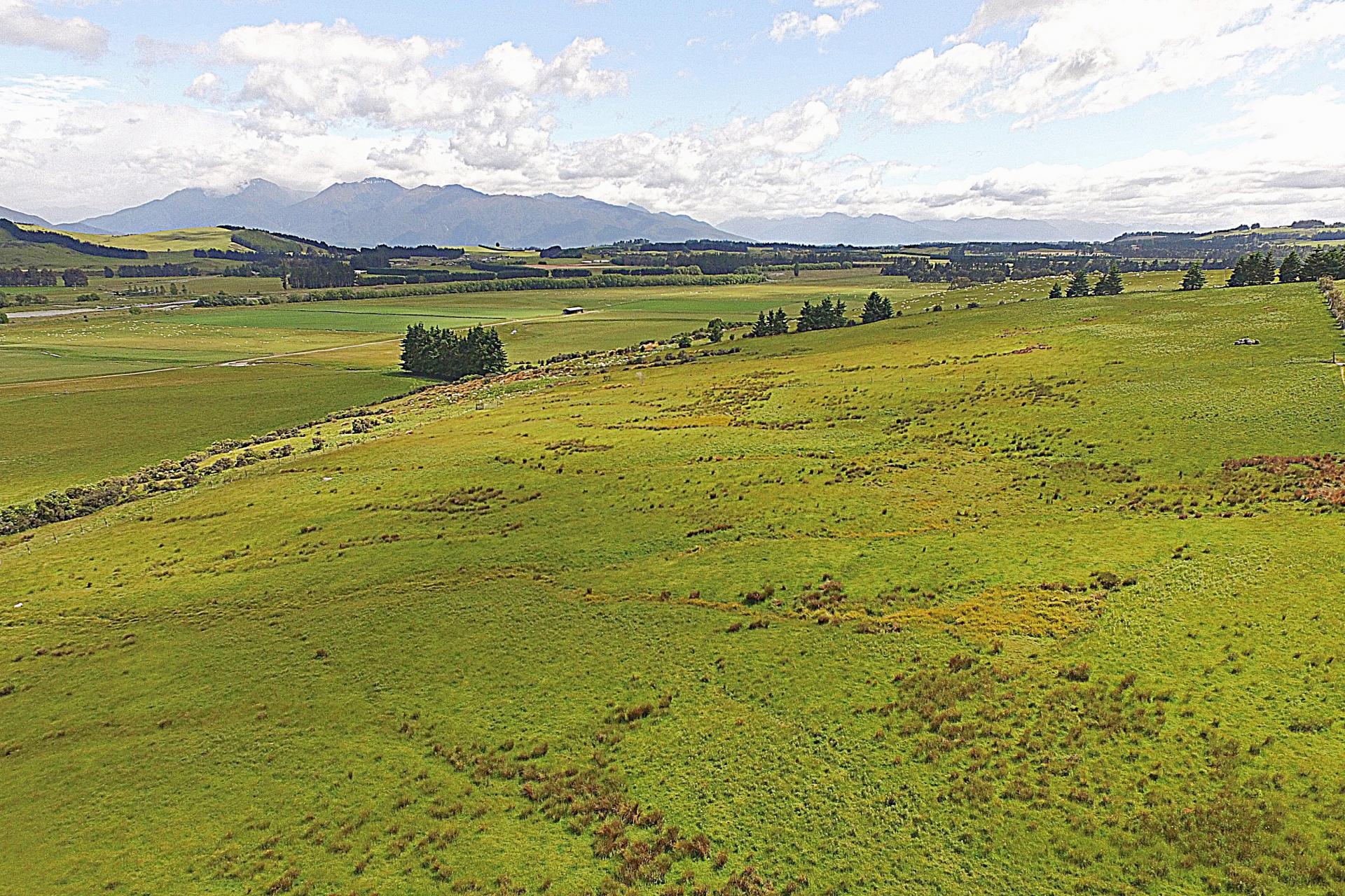 105 Lynwood Road, Hillside